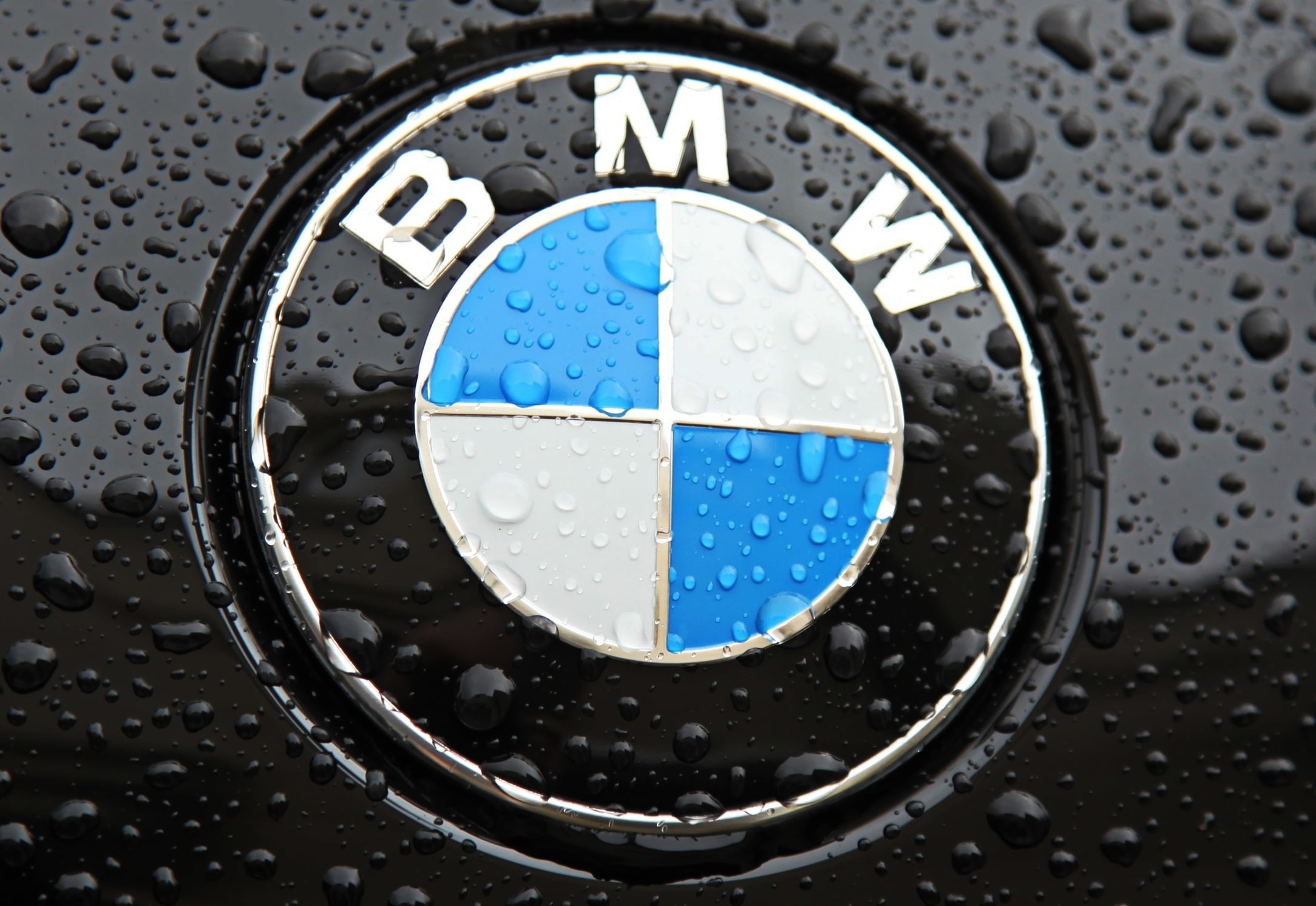 2168x1493 BMW logo Wallpapers