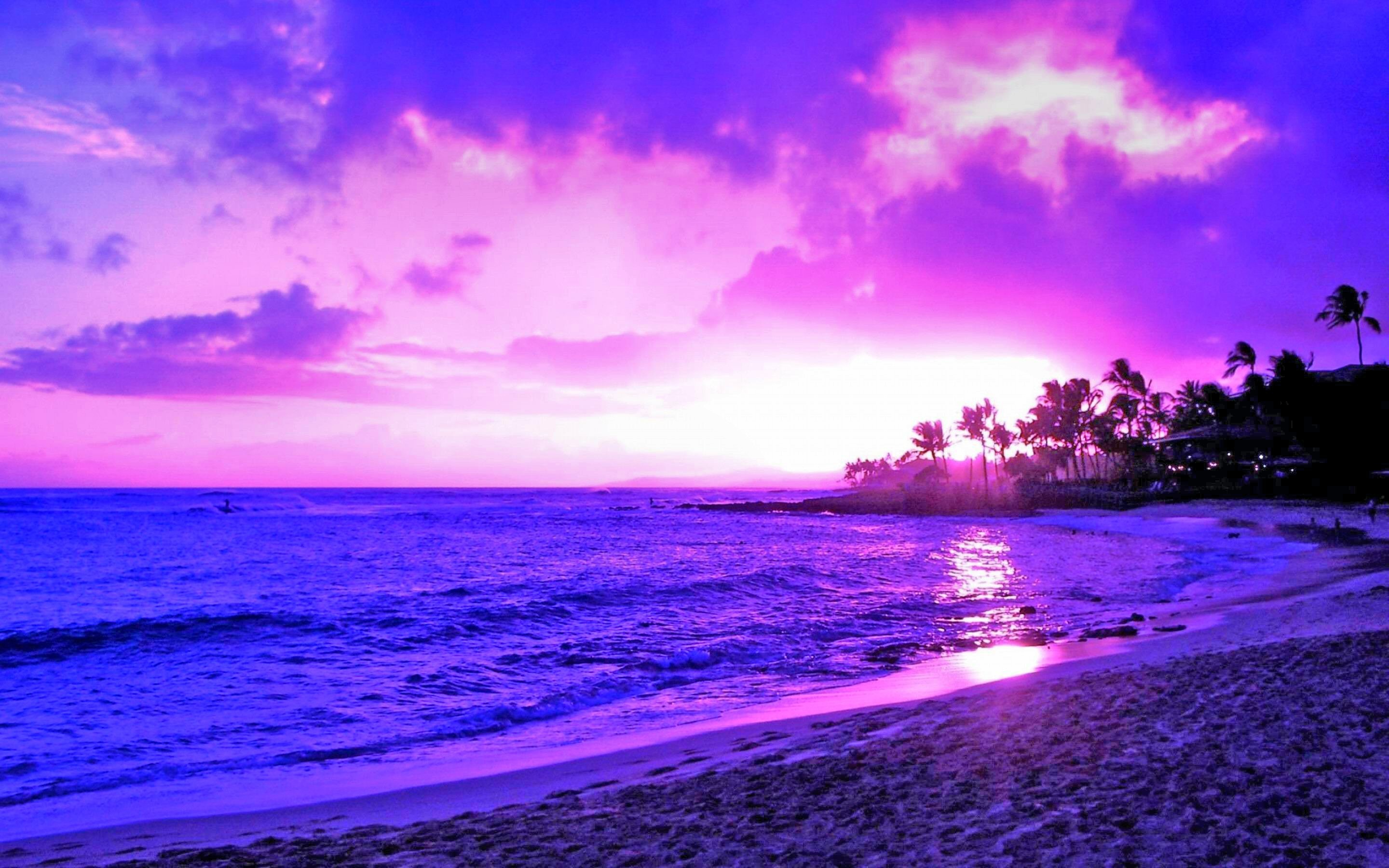 2880x1800 Earth - Scenic Twilight Sunset Palm Tree Tropical Horizon Wallpaper