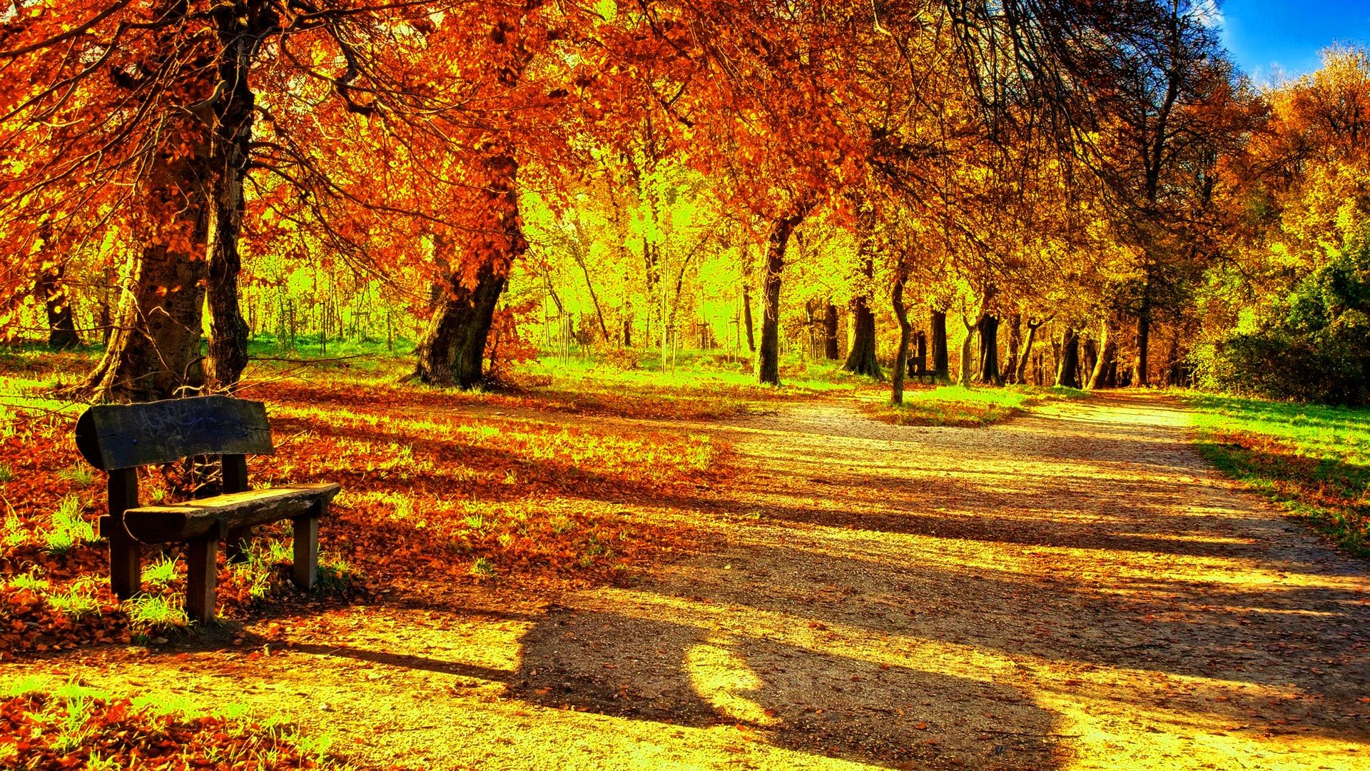 1920x1080 Image for Autumn Leaves Wallpaper Desktop