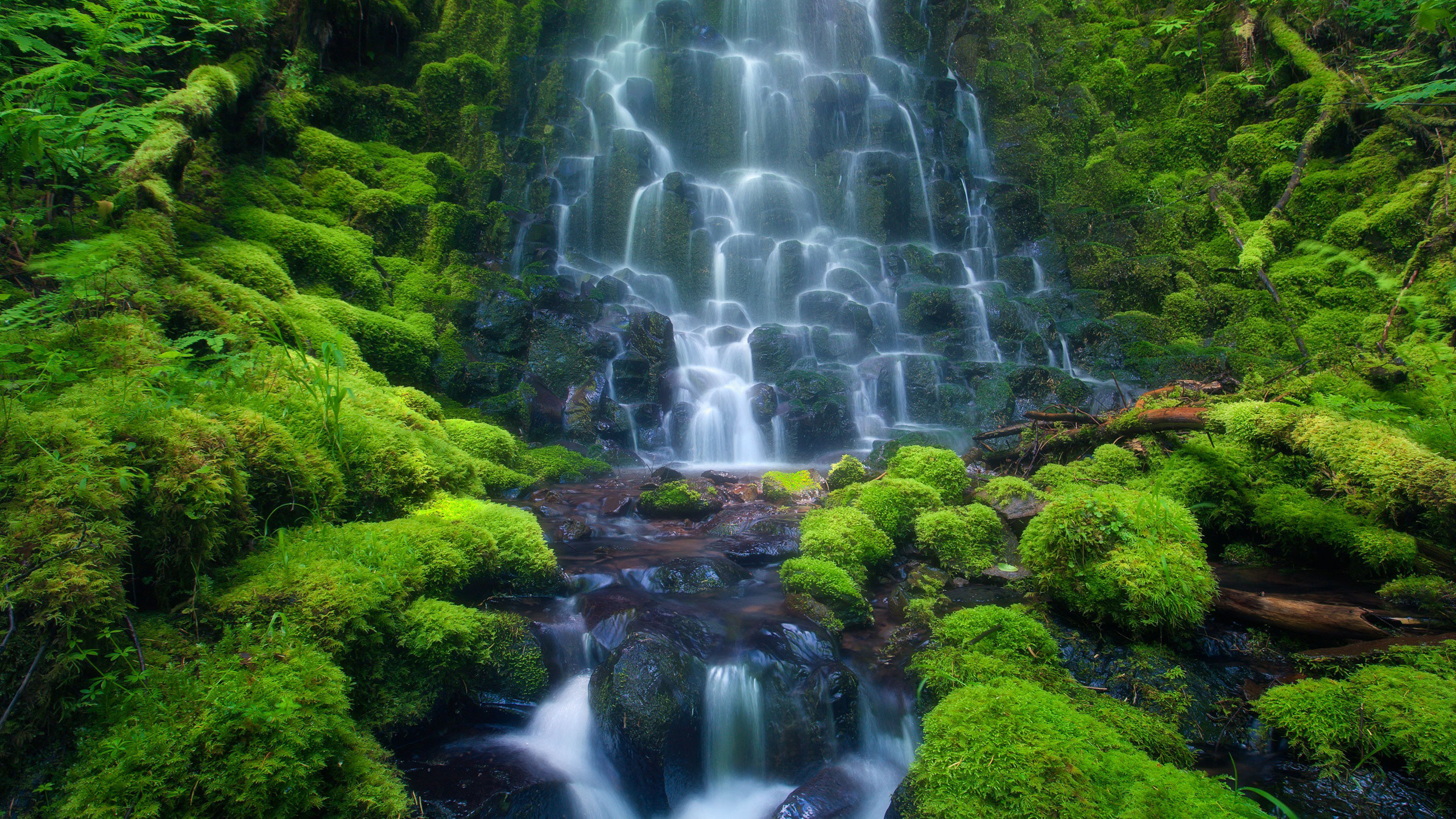 2560x1440 Find out: Rainforest Waterfall wallpaper on http://hdpicorner.com/rainforest