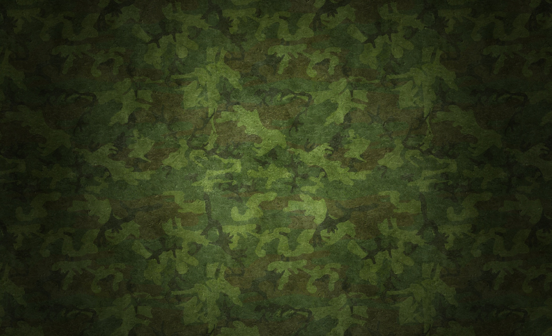 1920x1167 Camouflage HD and Desktop Backgrounds #6466