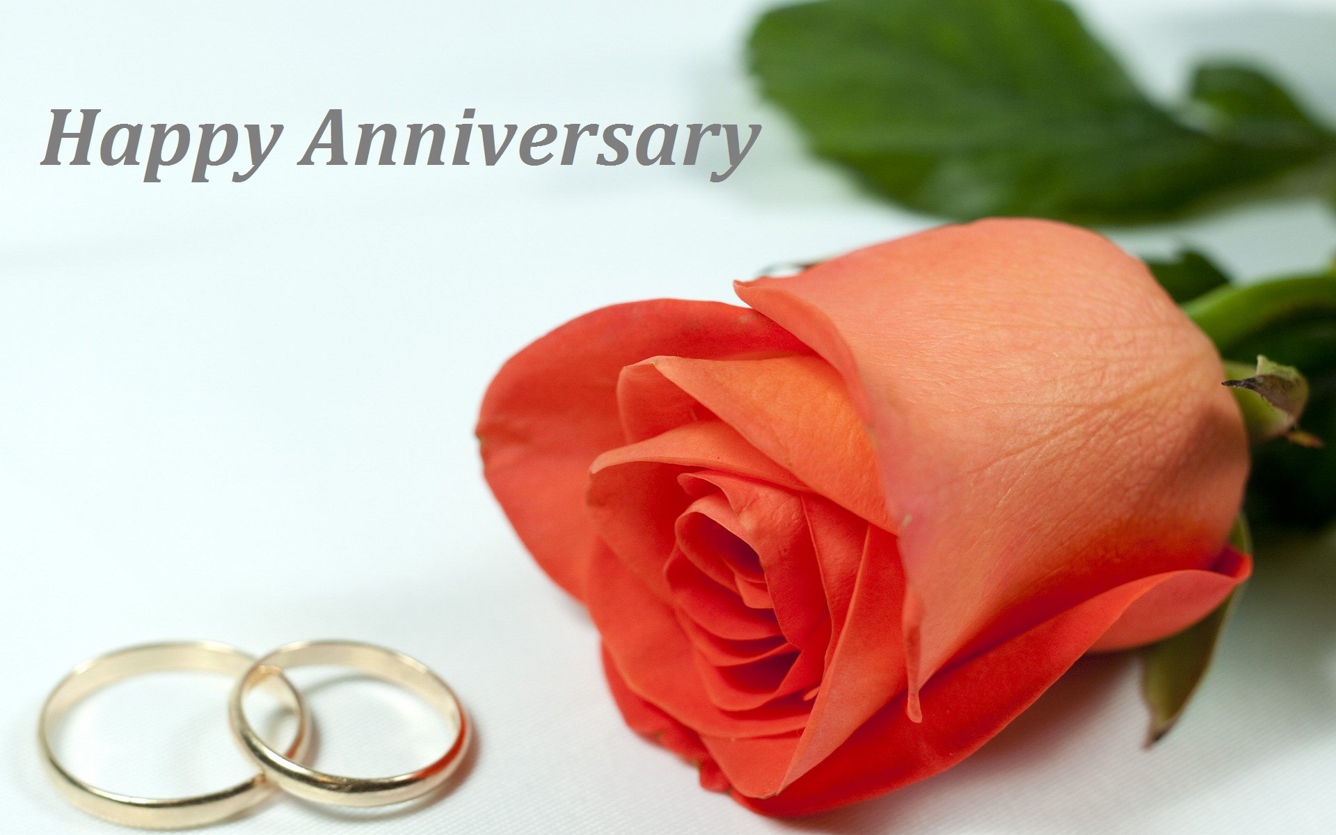 1920x1200 wallpaper.wiki-Photo-of-Anniversary-Rings-PIC-WPC0012291