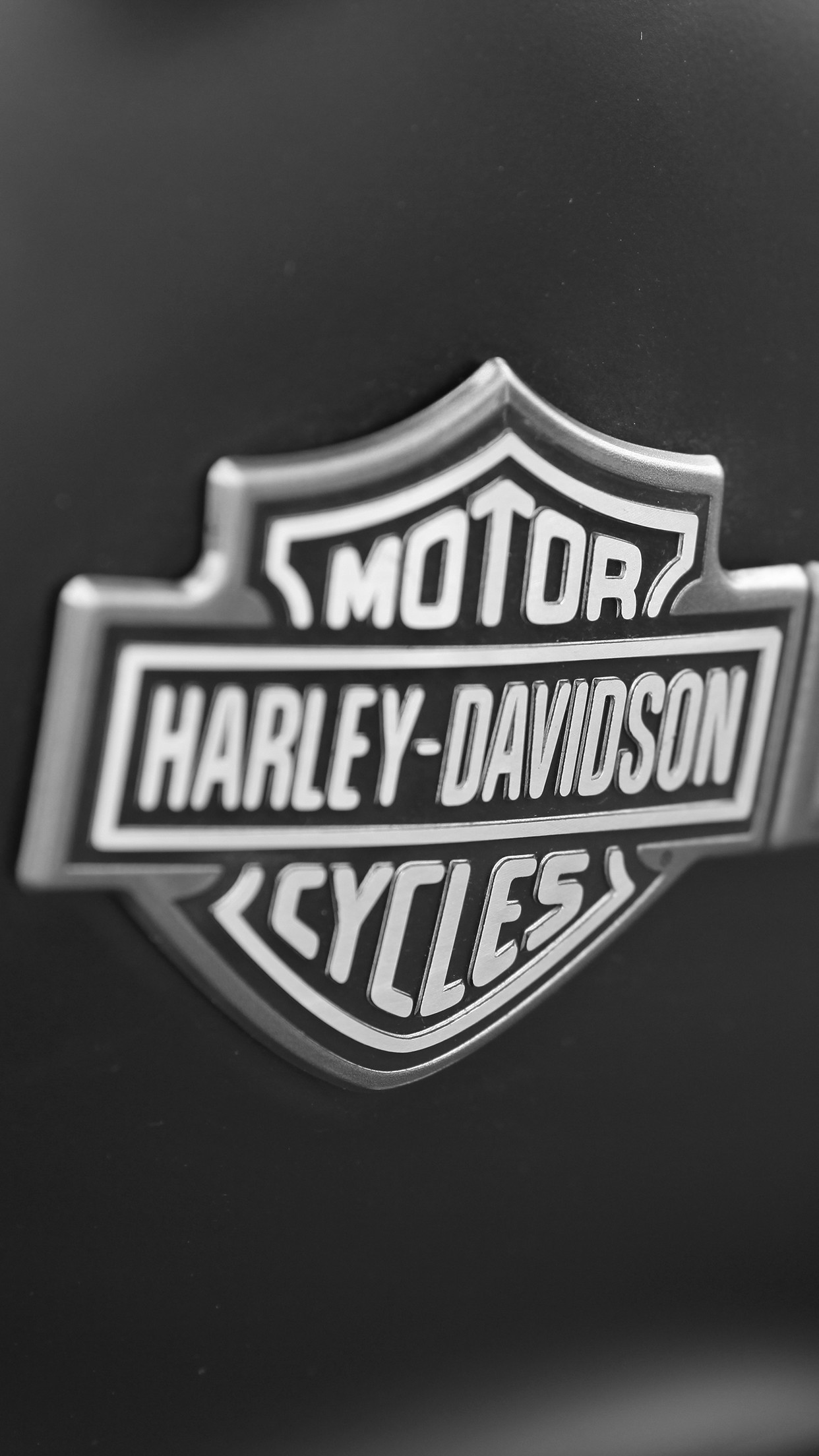 Discover Harley Davidson Logos