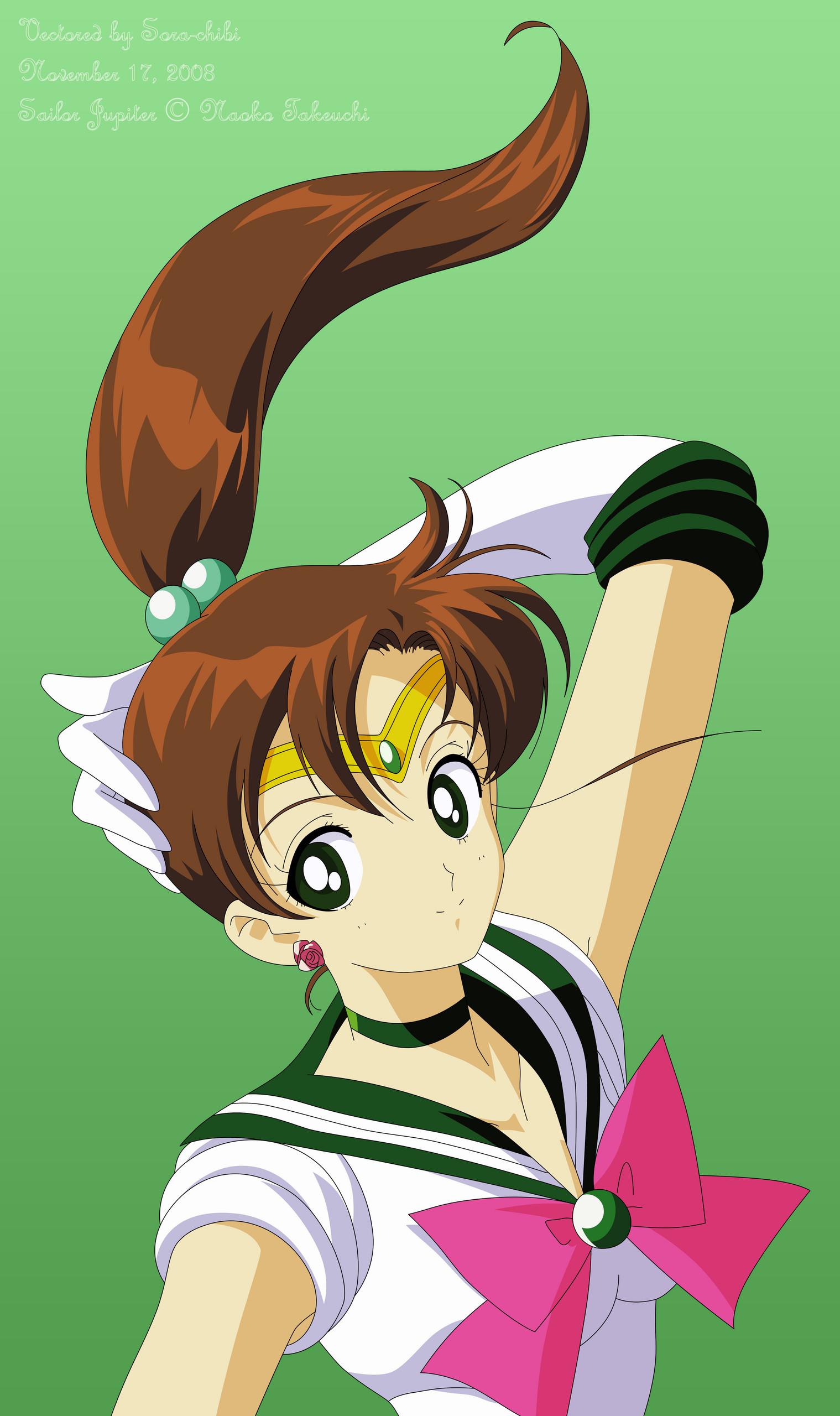 1519x2560 Sailor Jupiter images Sailor Jupiter / Sora-chibi HD wallpaper and  background photos