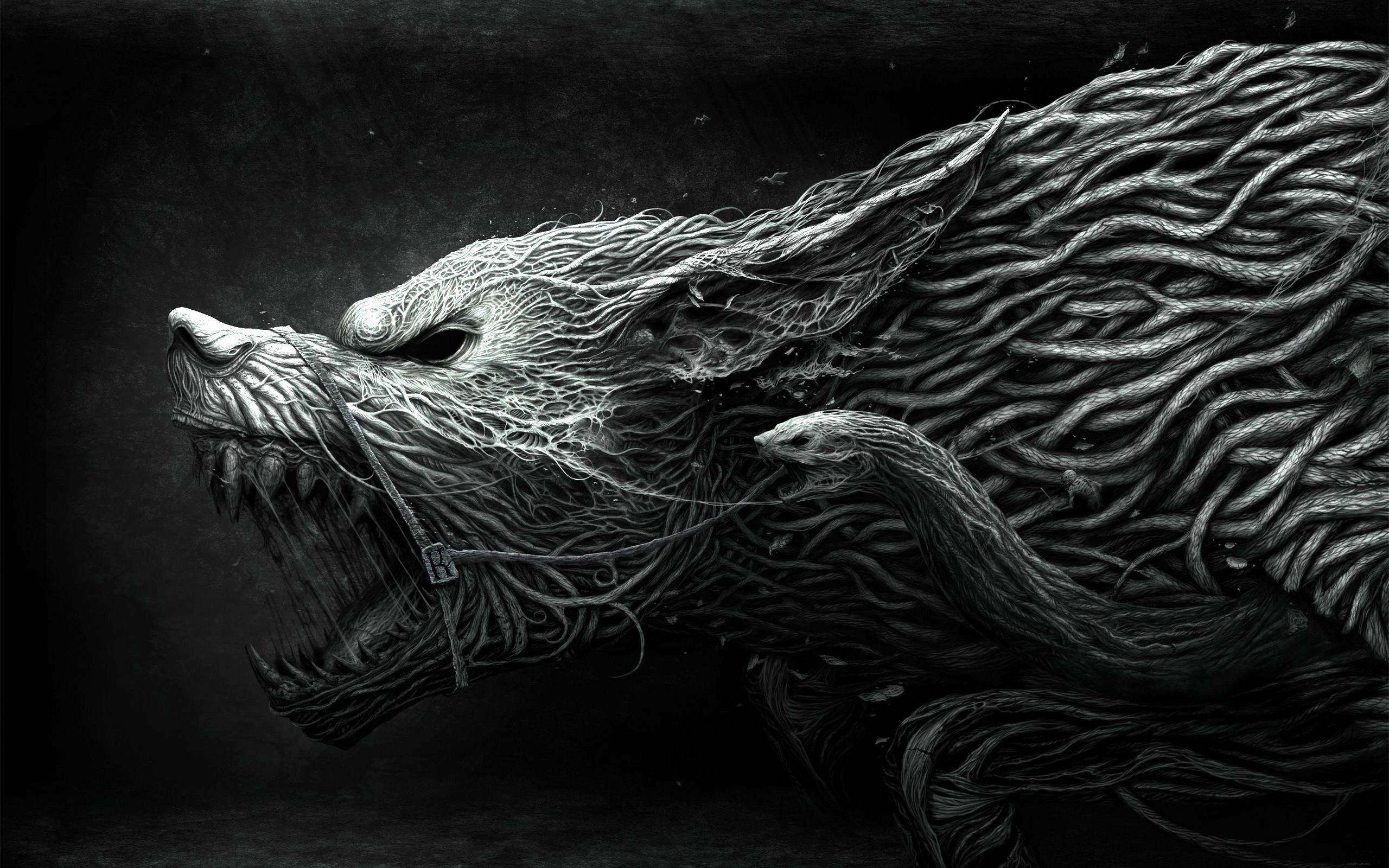 2560x1600 Wolf Black And White Wallpaper Free Background Desktop Imagesfree .