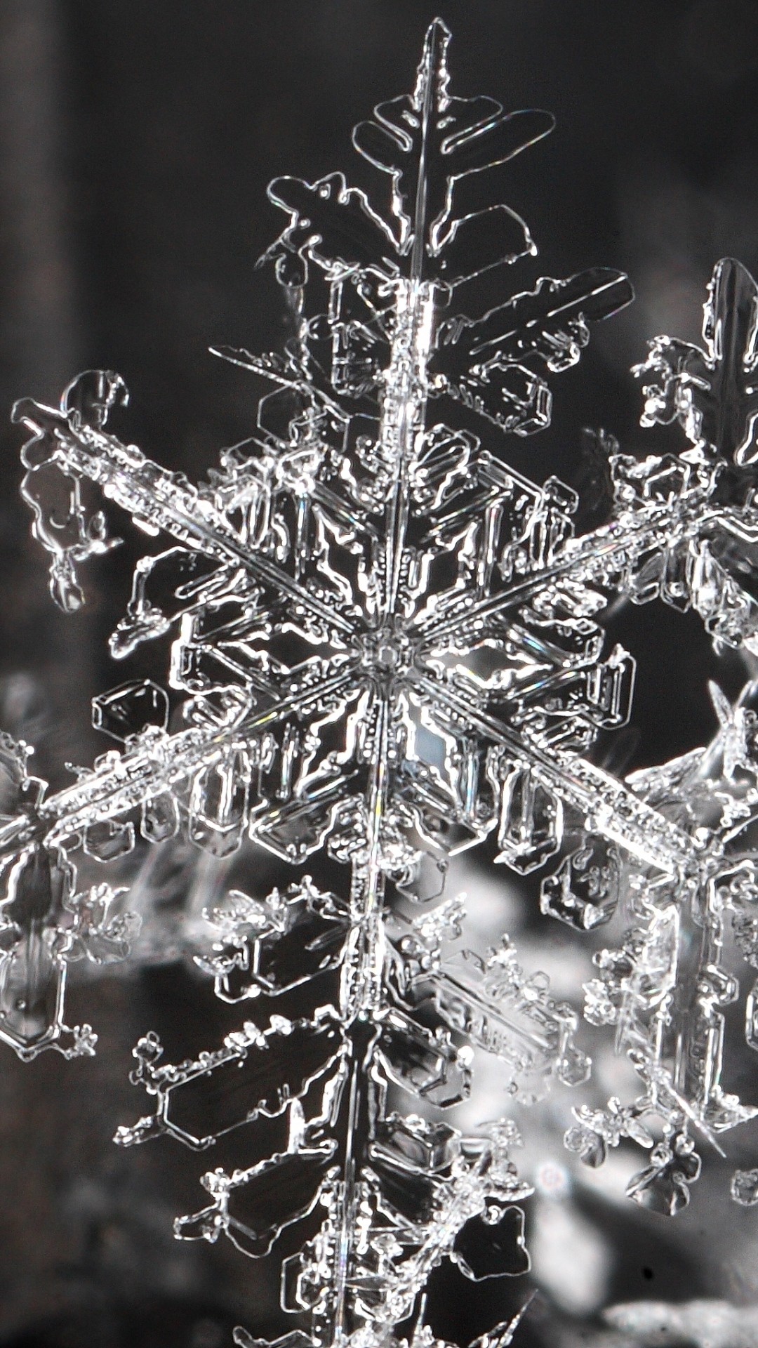 1080x1920 Preview wallpaper snowflake, shape, pattern, transparent 