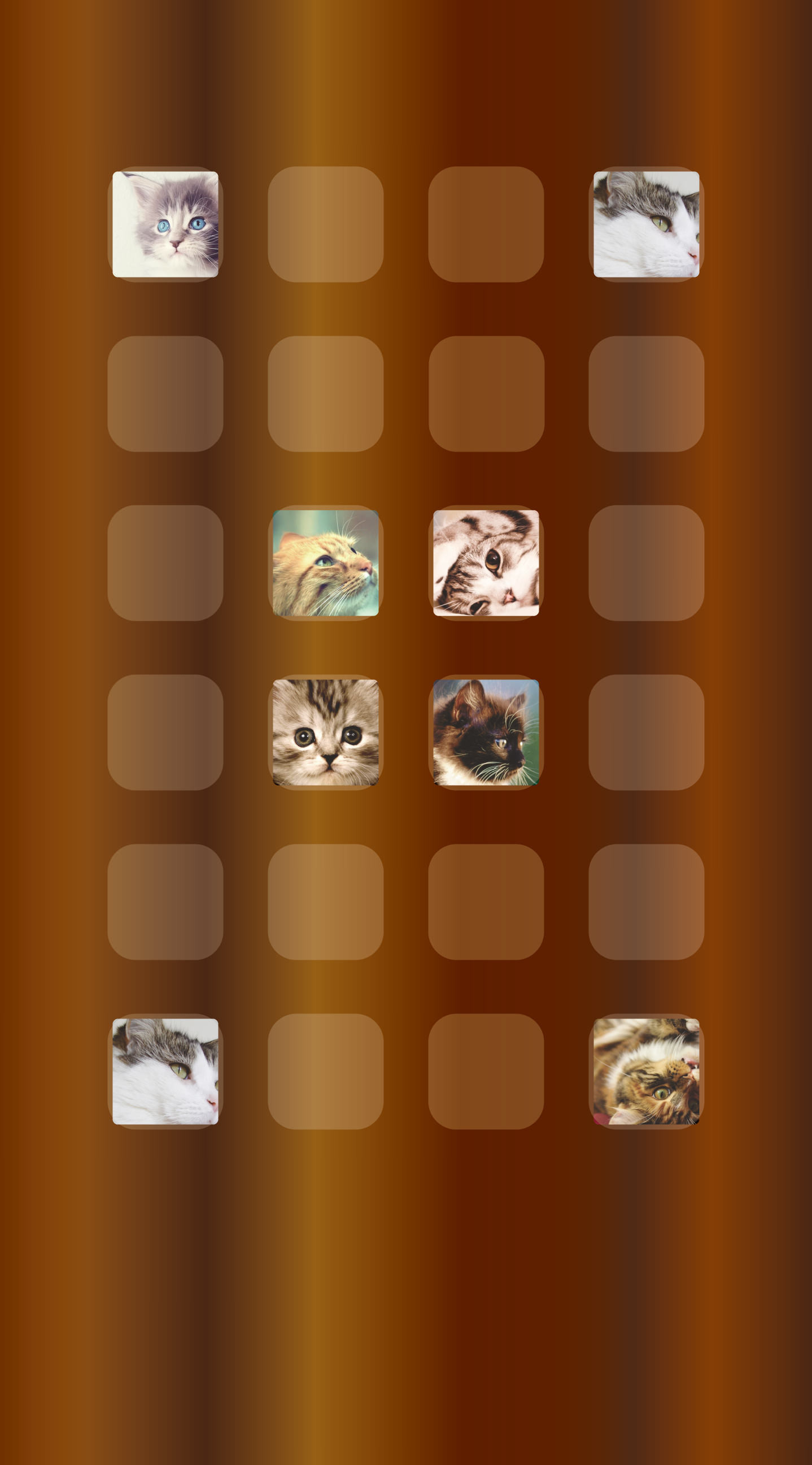 1438x2592 Shelf cat tea iPhone6s Plus / iPhone6 Plus Wallpaper
