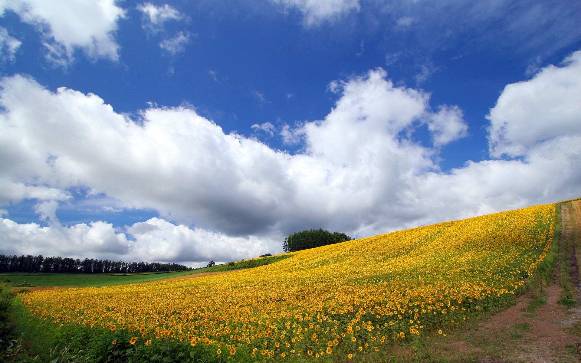 1920x1200 Japan Hokkaido Country Field : Open Field Under Sky .