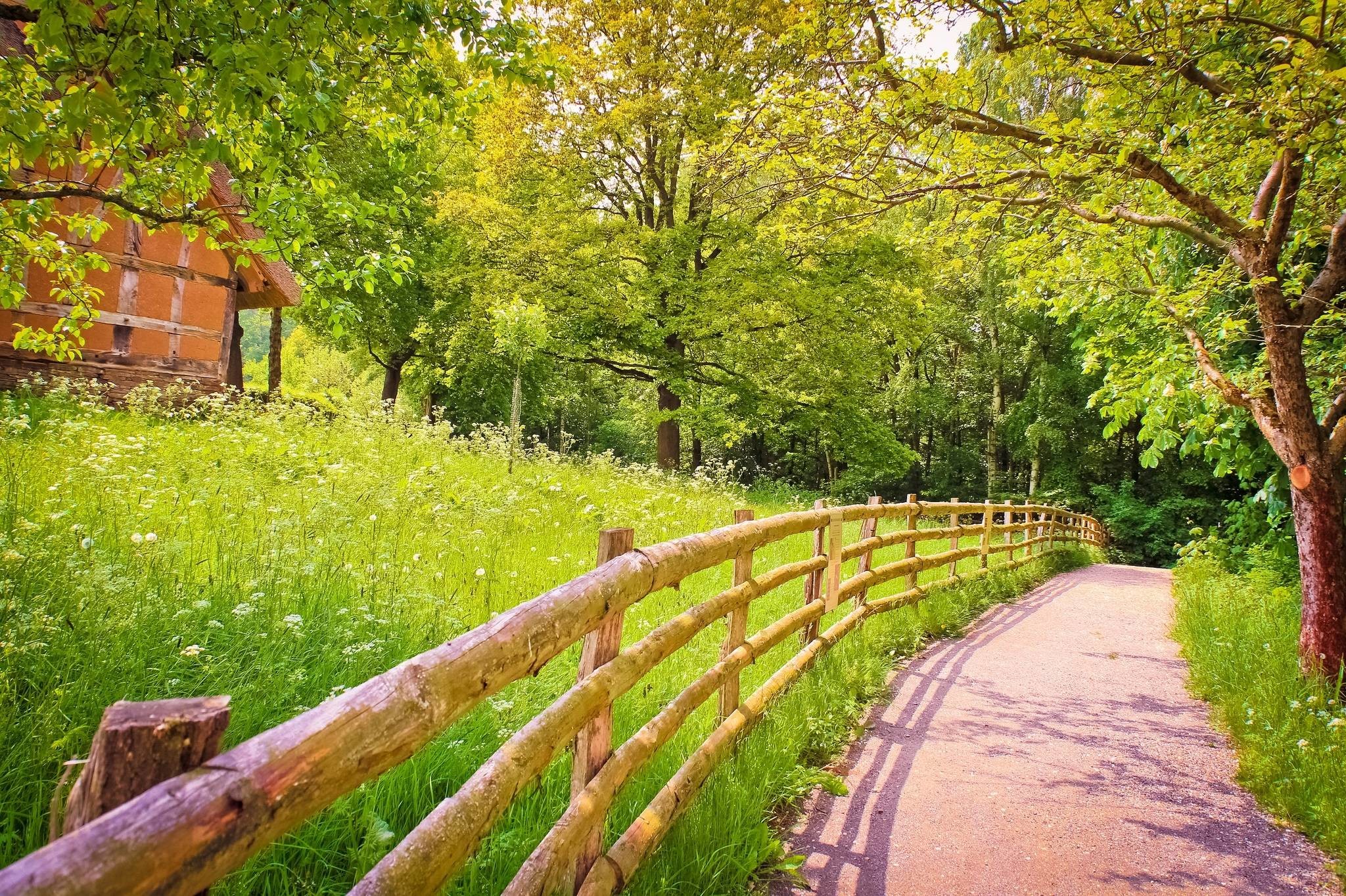 2048x1365 Road shadow fence wood trees grass green house summer nature .