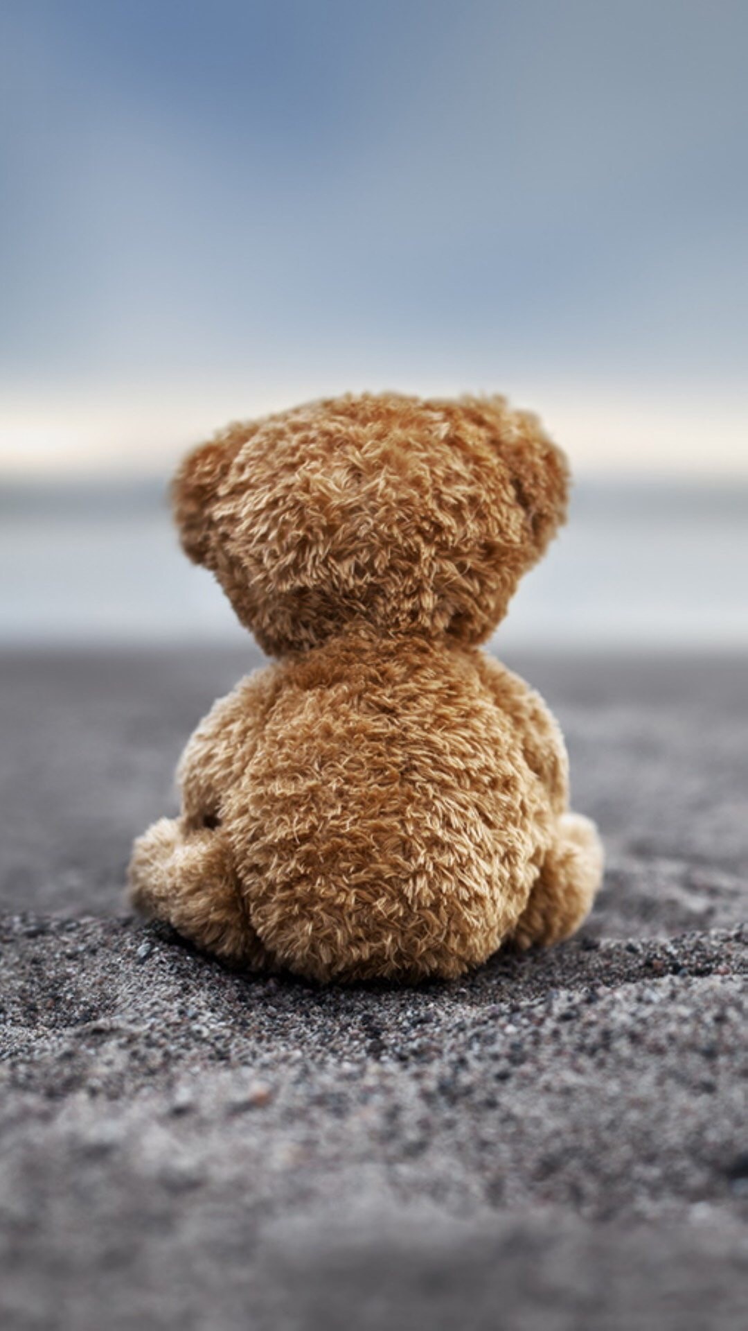 1080x1920 Bear Doll Back Lonely Ground #iPhone #6 #plus #wallpaper
