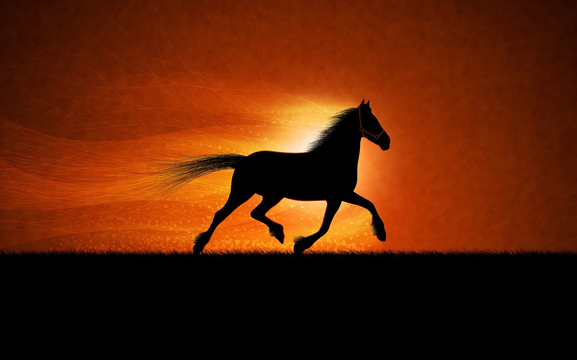 1920x1200 Horse sunset time abstract wallpapers