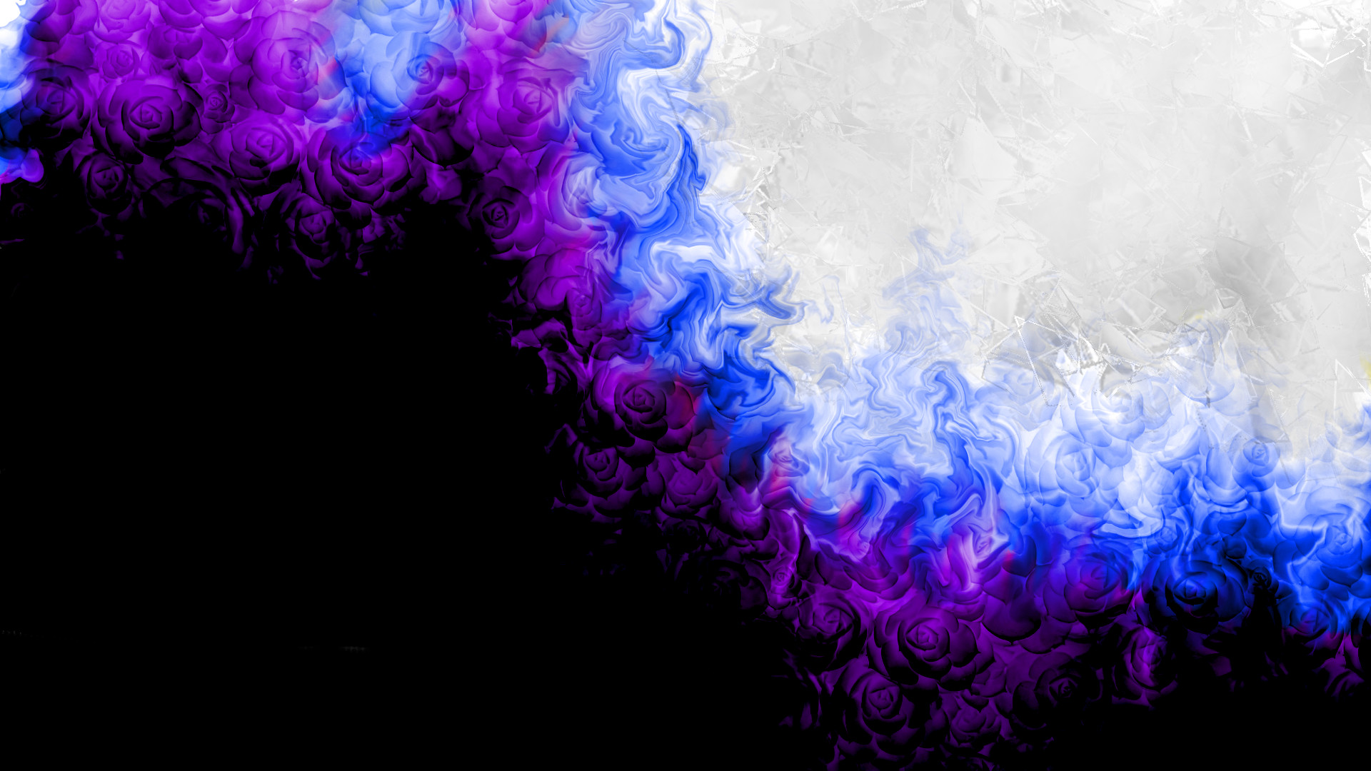 1920x1080 Purple roses with blue fire