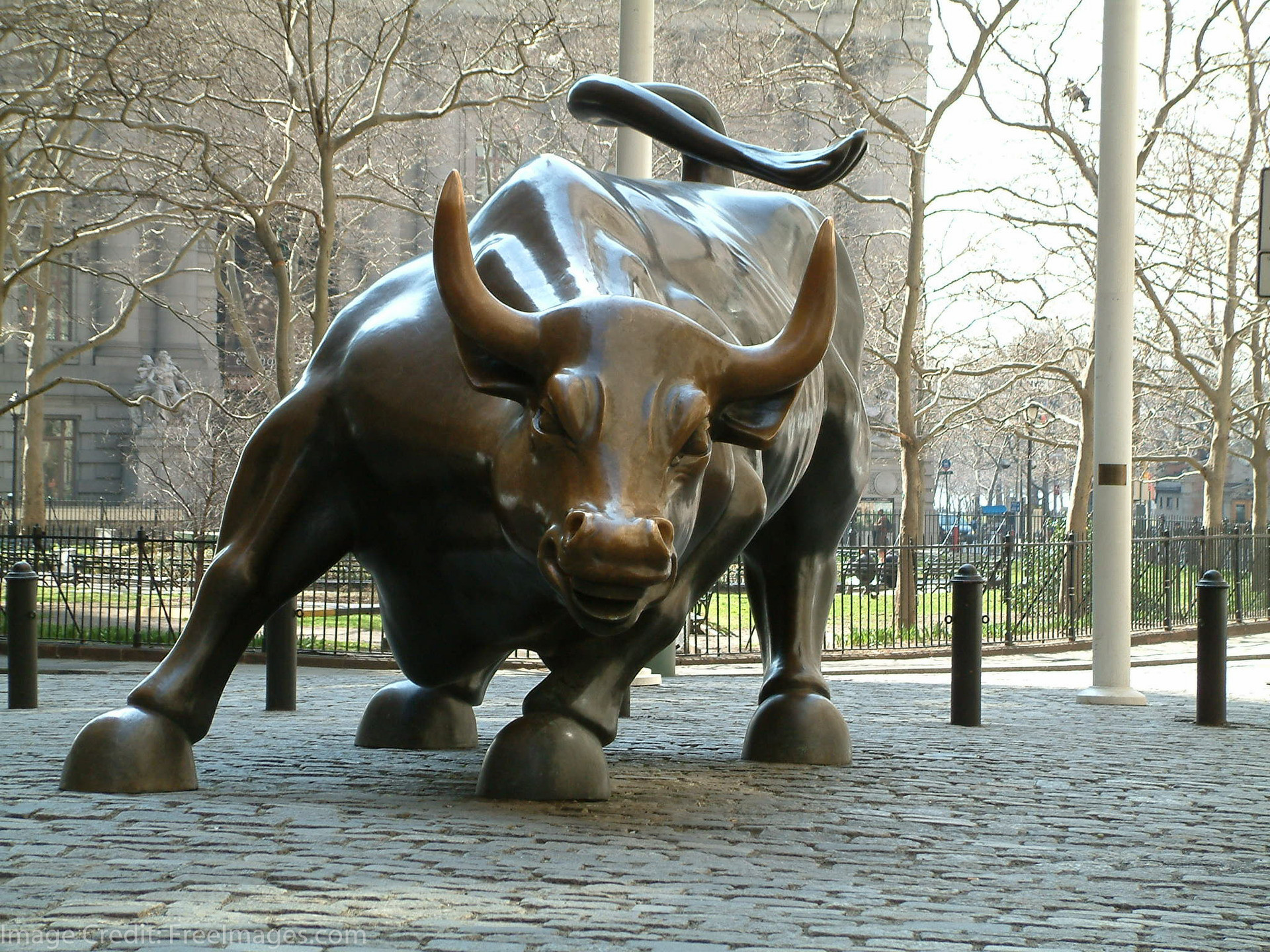 Wall Street Bull Wallpaper.