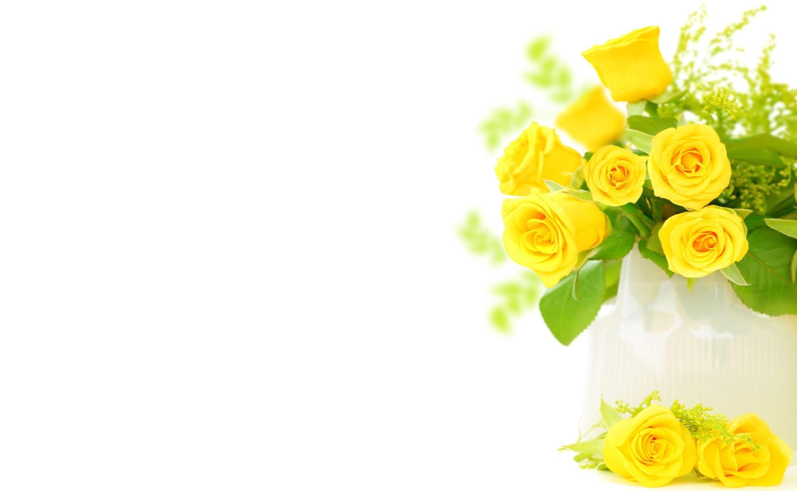 2560x1580 ... Yellow Roses Background Wallpaper ...
