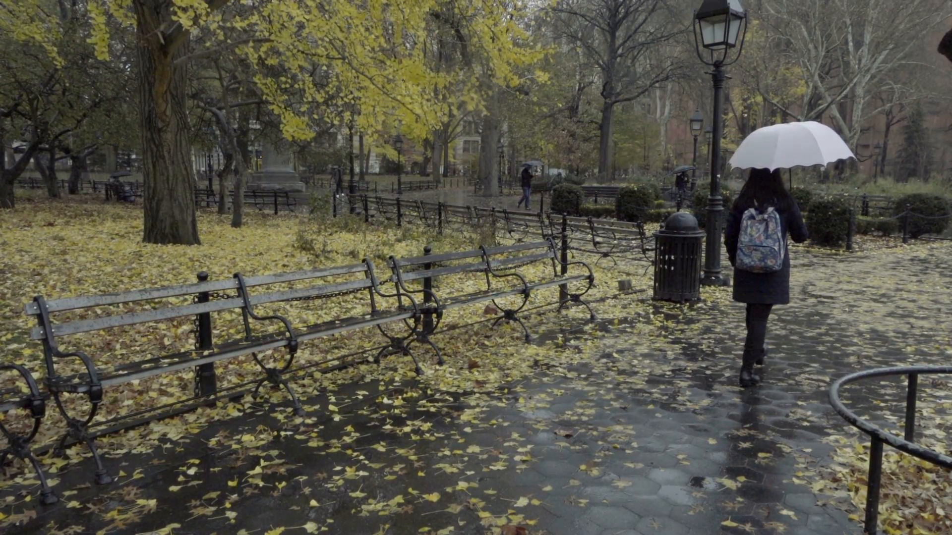 1920x1080 beautiful yellow fall leaves on wet ground in rainy Washington Square Park  day, woman walking with umbrella, NYC 1080 HD Stock Video Footage -  Storyblocks ...