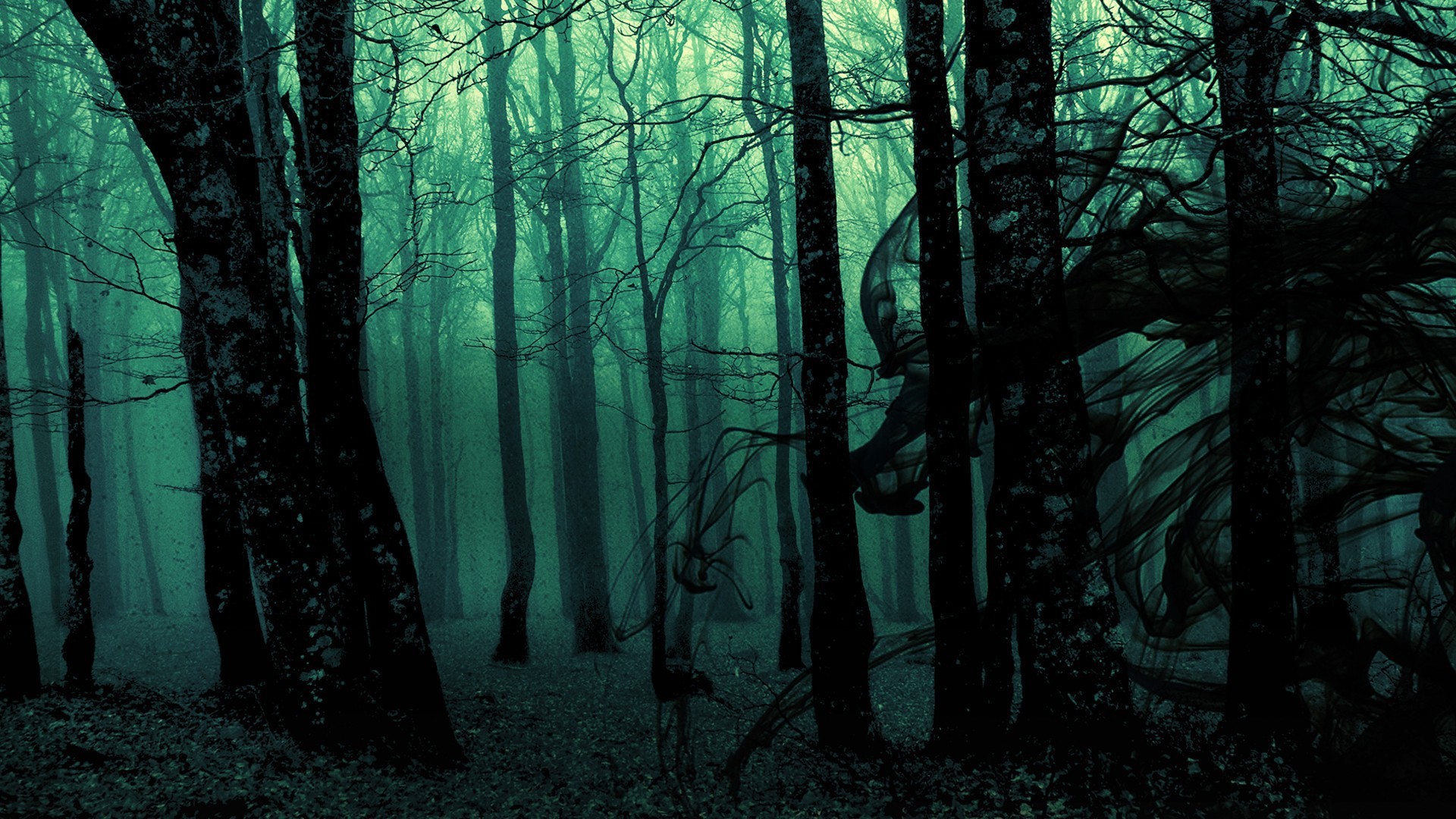 1920x1080 Dark-Woods-Desktop-Backgrounds