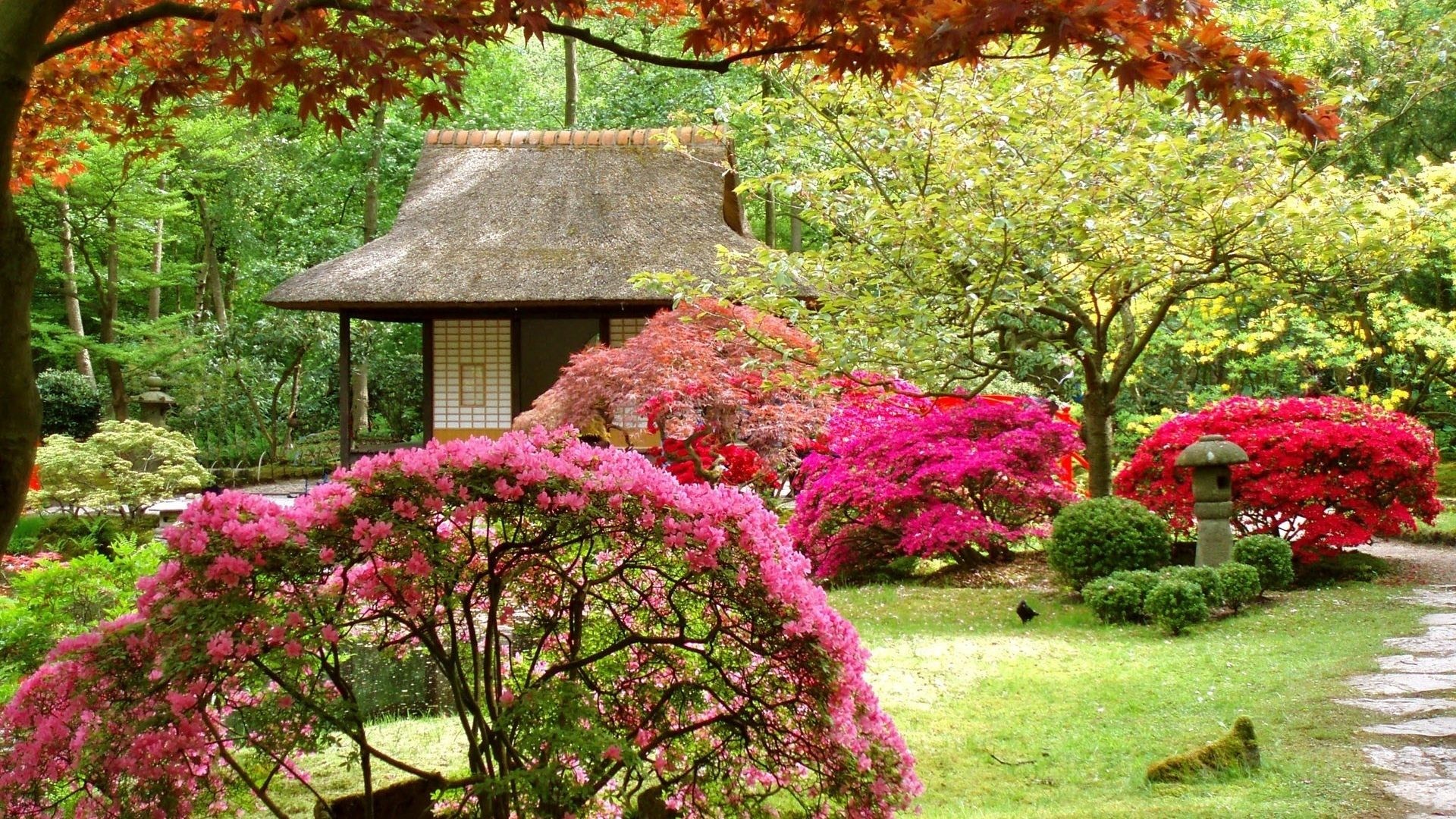 1920x1080 Japan Flowers Spring Asian Garden Japanese Wallpapers Hd Nature Download -  1920x1200
