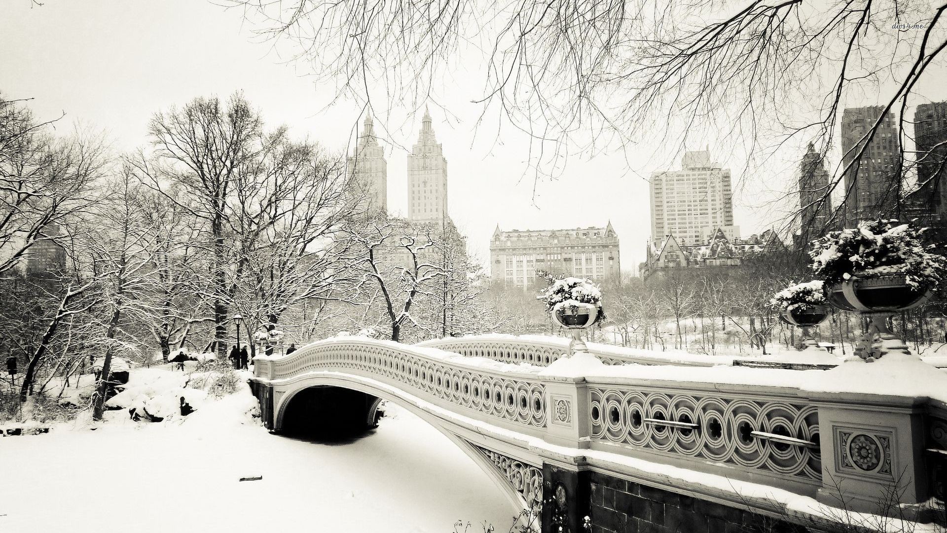 1920x1080 World Winter Snow New York City New York USA Central Park