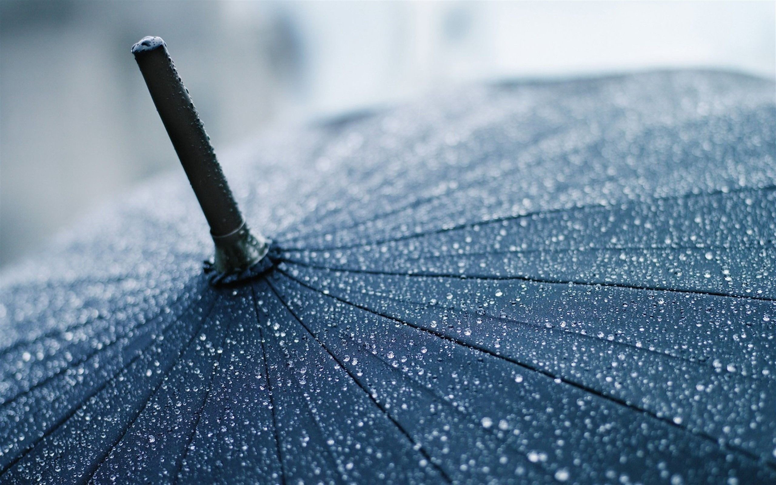 2560x1600 ... Raindrop Quality HD Wallpapers - VZZ-HD Background Wallpapers ...
