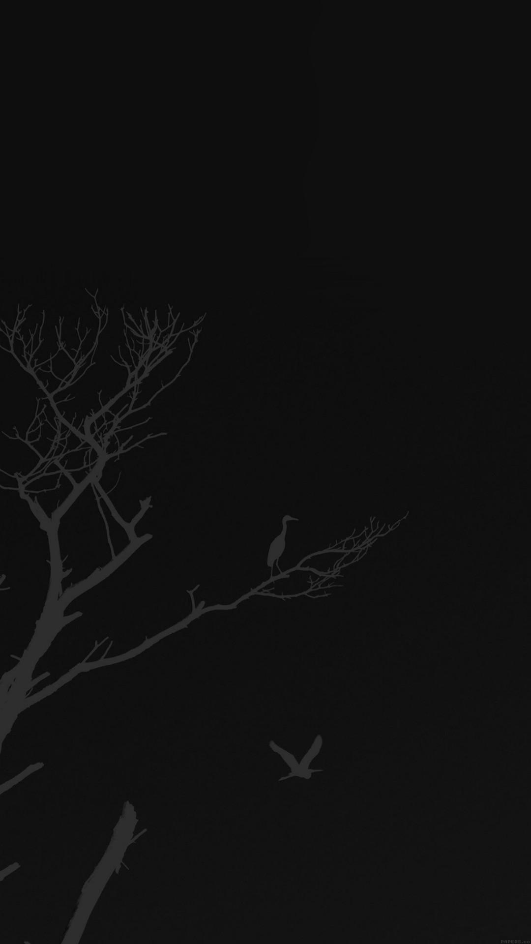 1080x1920 ... Bird Sunset Tree Dark Nature Minimal iPhone 8 wallpaper.