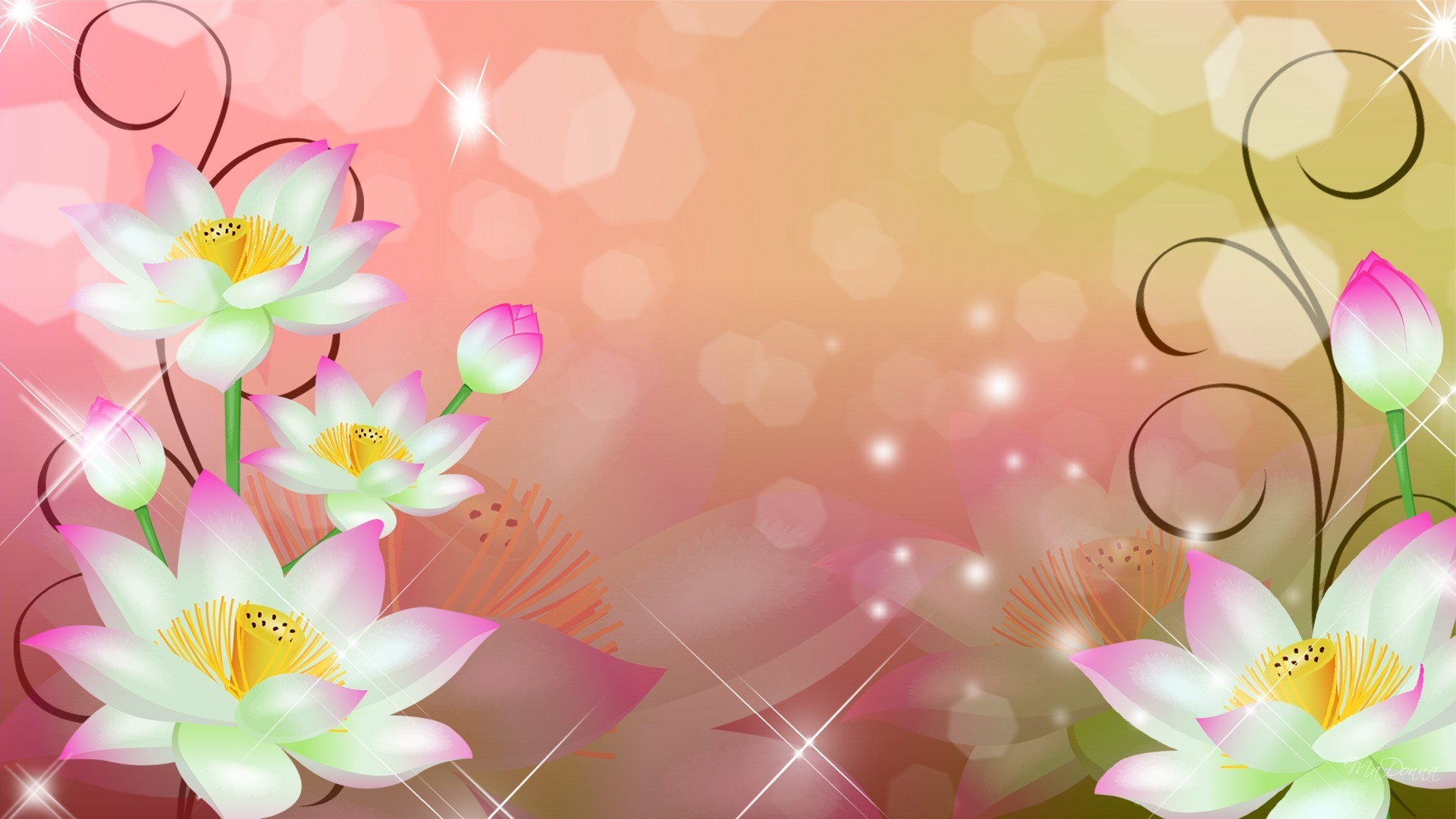 1920x1080 Swirls Tag - Water Pink Summer Swirls Firefox Persona Spring Bokeh Flowers  Abstract Gradients Desktop Flower