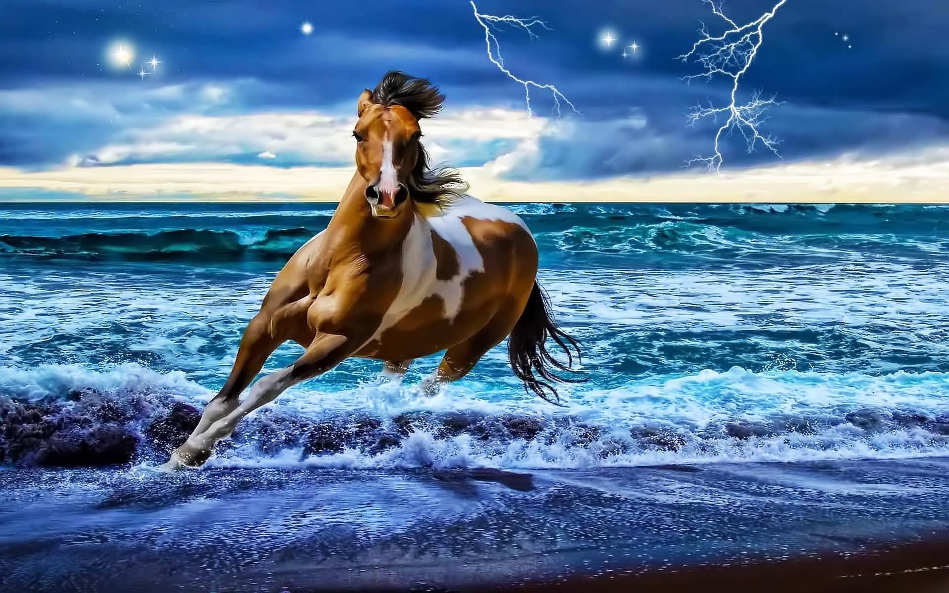 1920x1200 Cool Horse Wallpapers Group 1920Ã1200