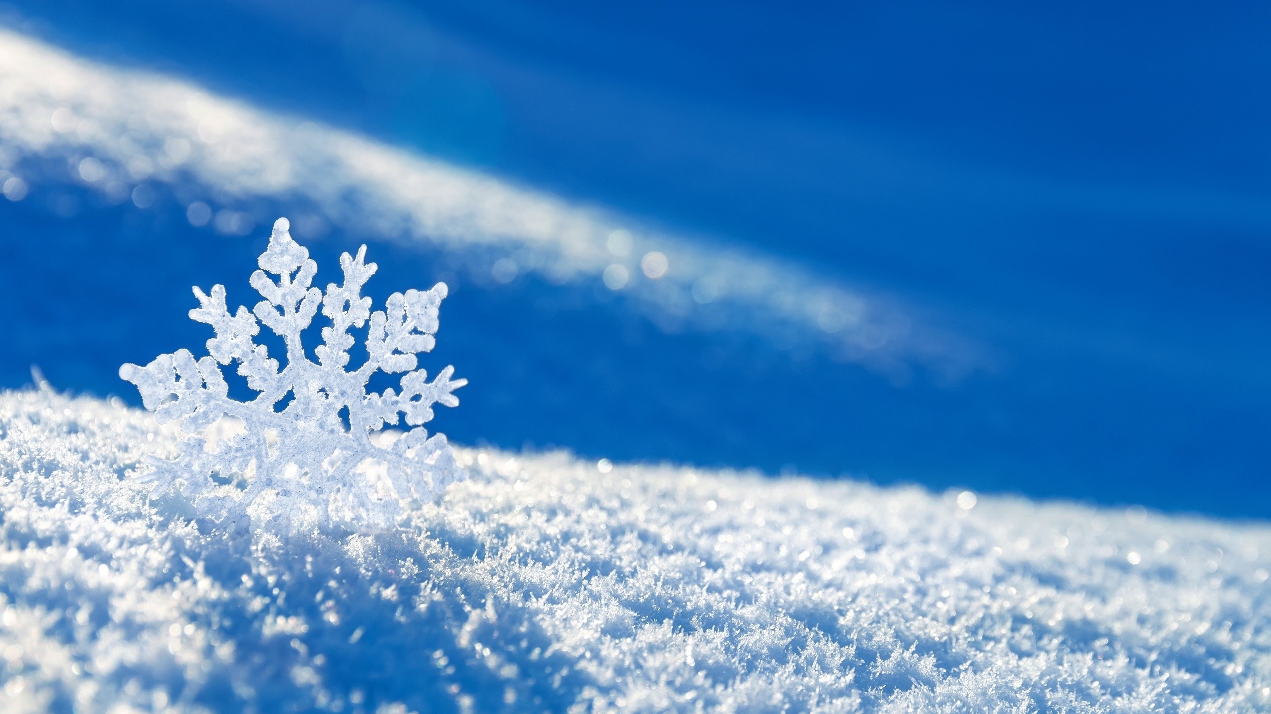 2560x1440 Wallpaper  Snow Snowflake Winter Mac Imac 27