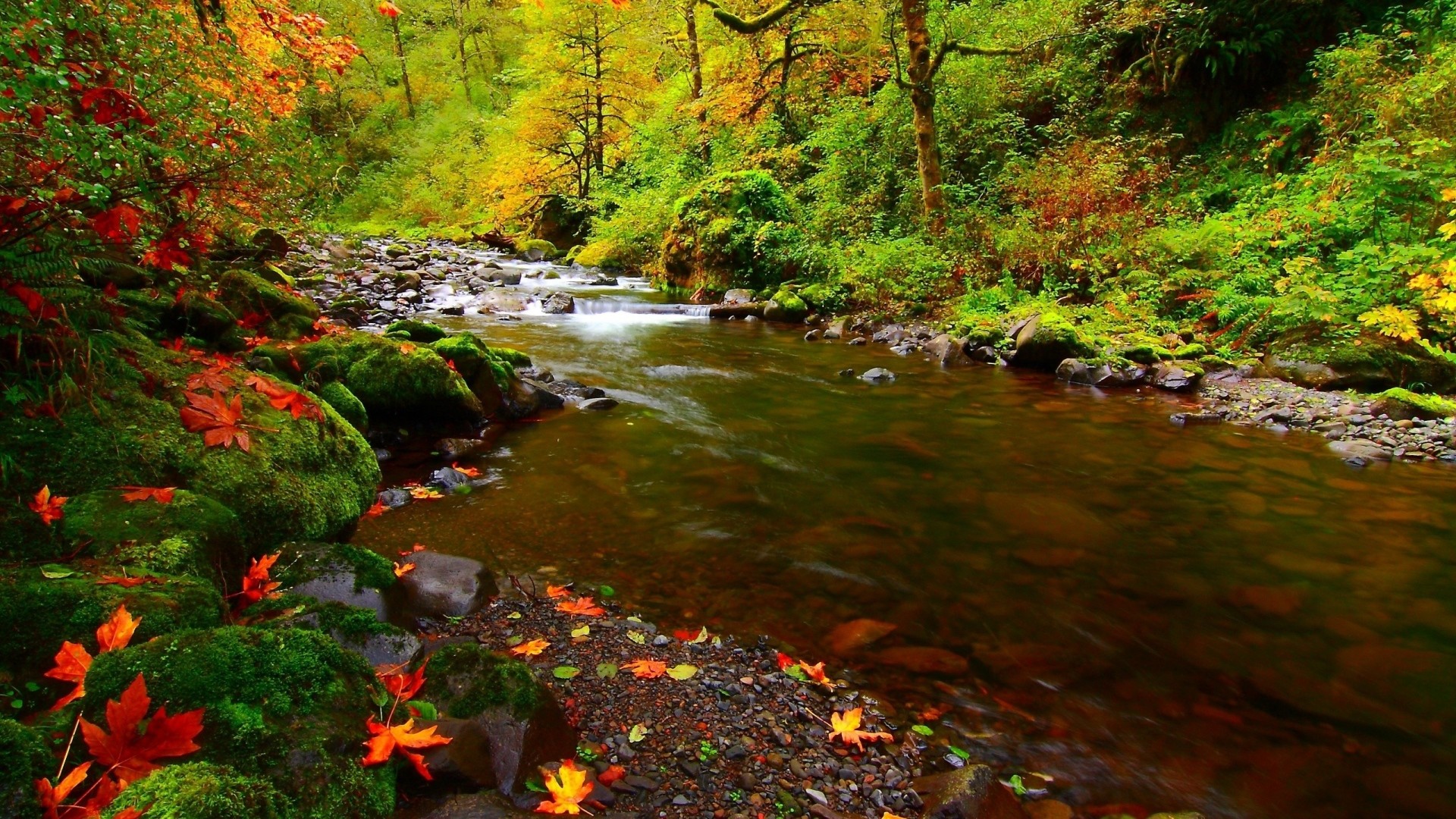 1920x1080  Wallpaper river, rocks, leaves, autumn