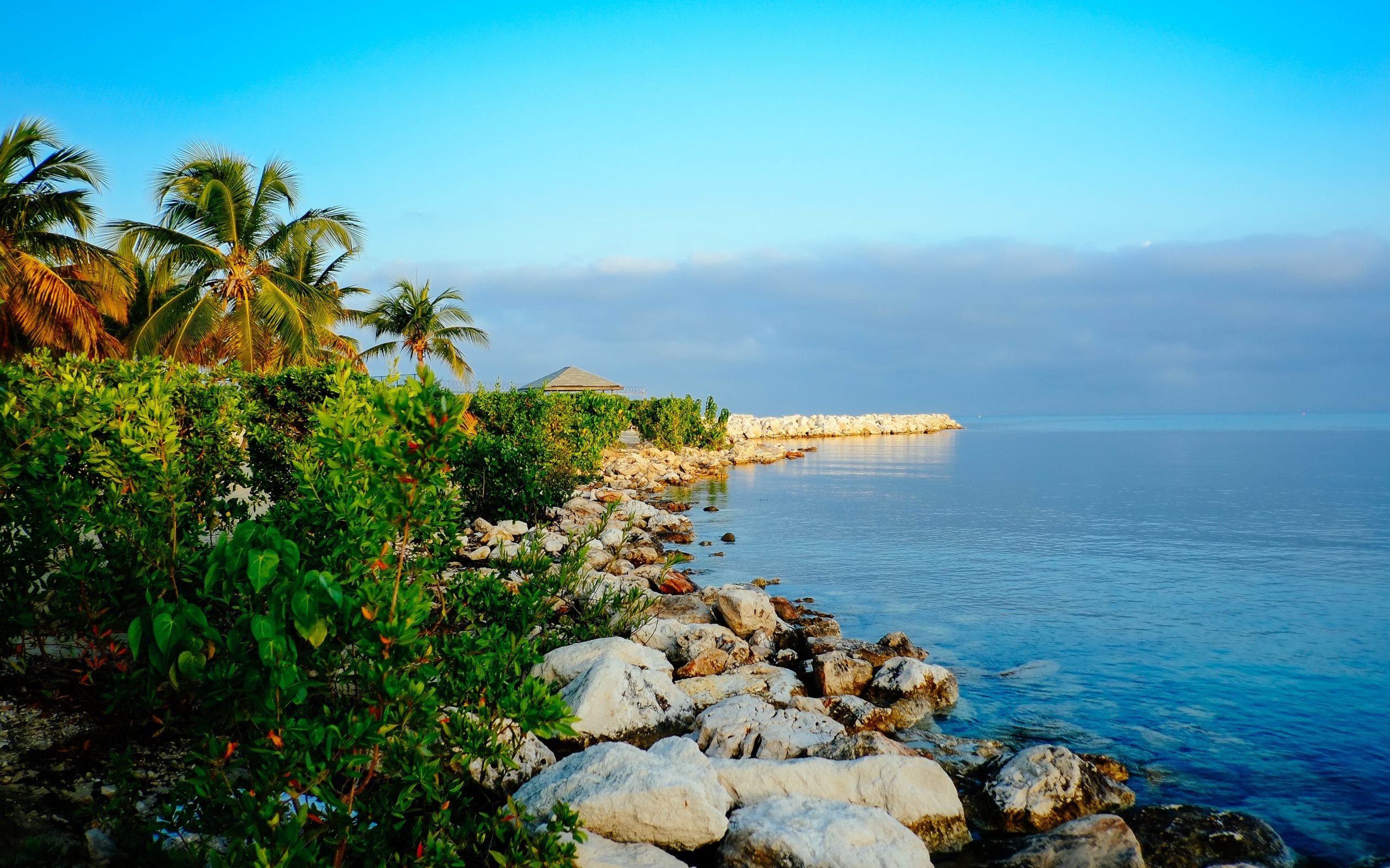 2560x1600 4K HD Wallpaper: Early morning view from Montego Bay, Jamaica