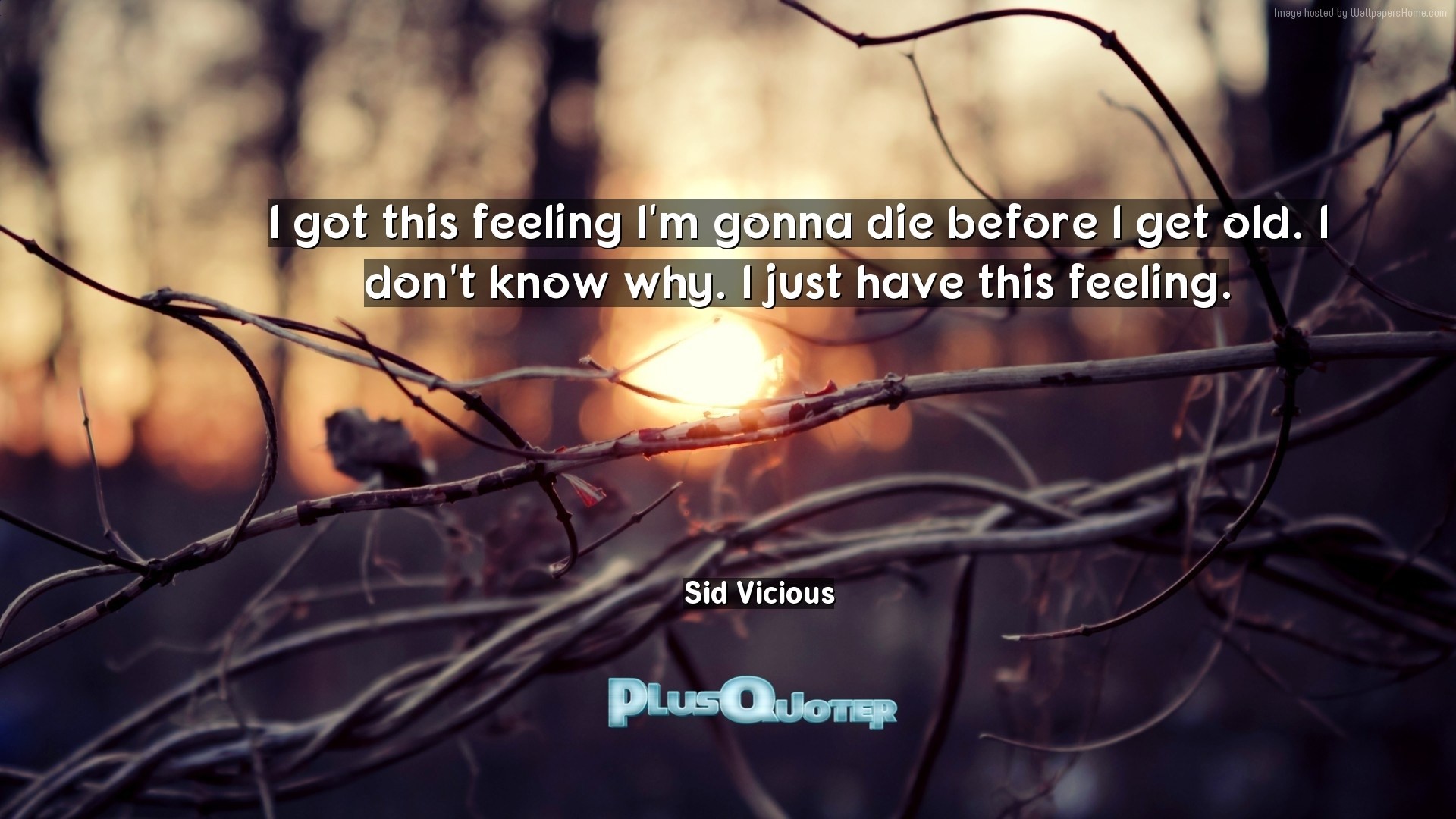 1920x1080 Download Wallpaper with inspirational Quotes- "I got this feeling I