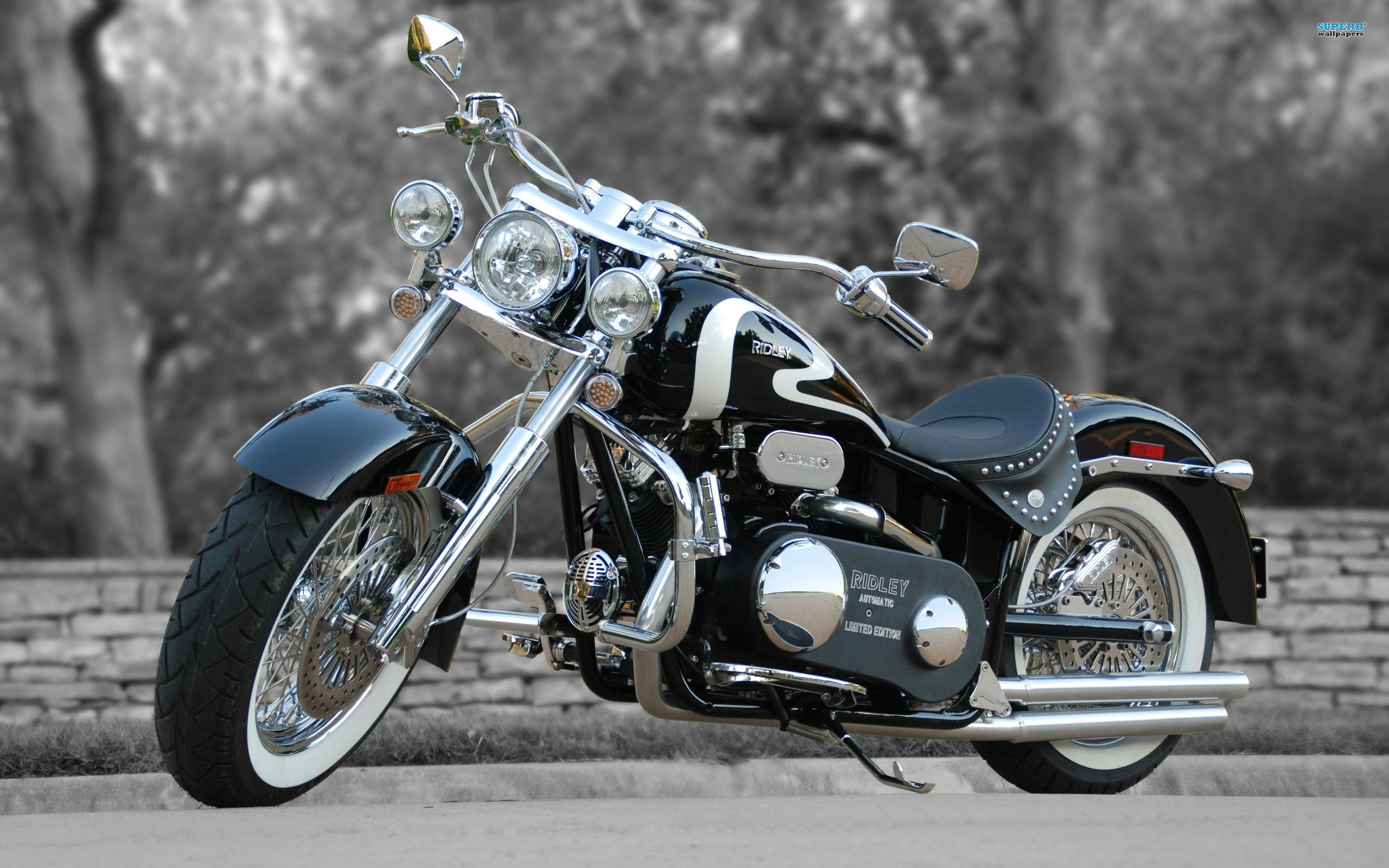 2560x1600 Harley Davidson E Girls Ridley Chopper Motorcycle 897778 2560Ã1600
