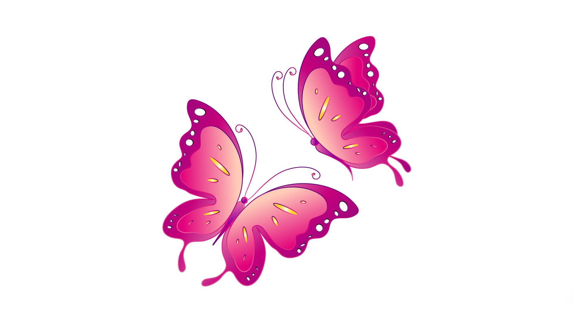 1920x1080 Pink Butterfly Wallpaper High Quality Resolution