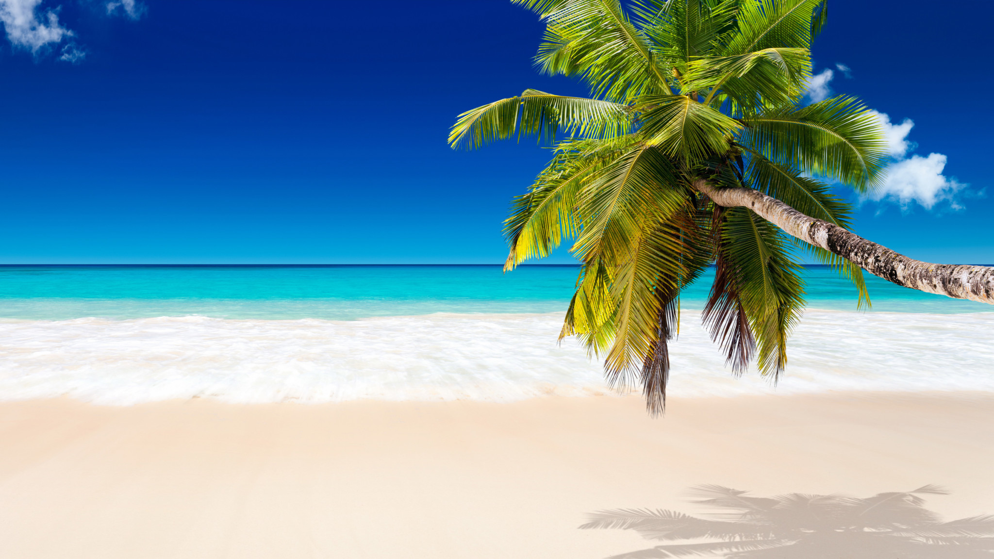 2048x1152 White-Sand-Beach-Wallpaper-with-Coconut-Tree