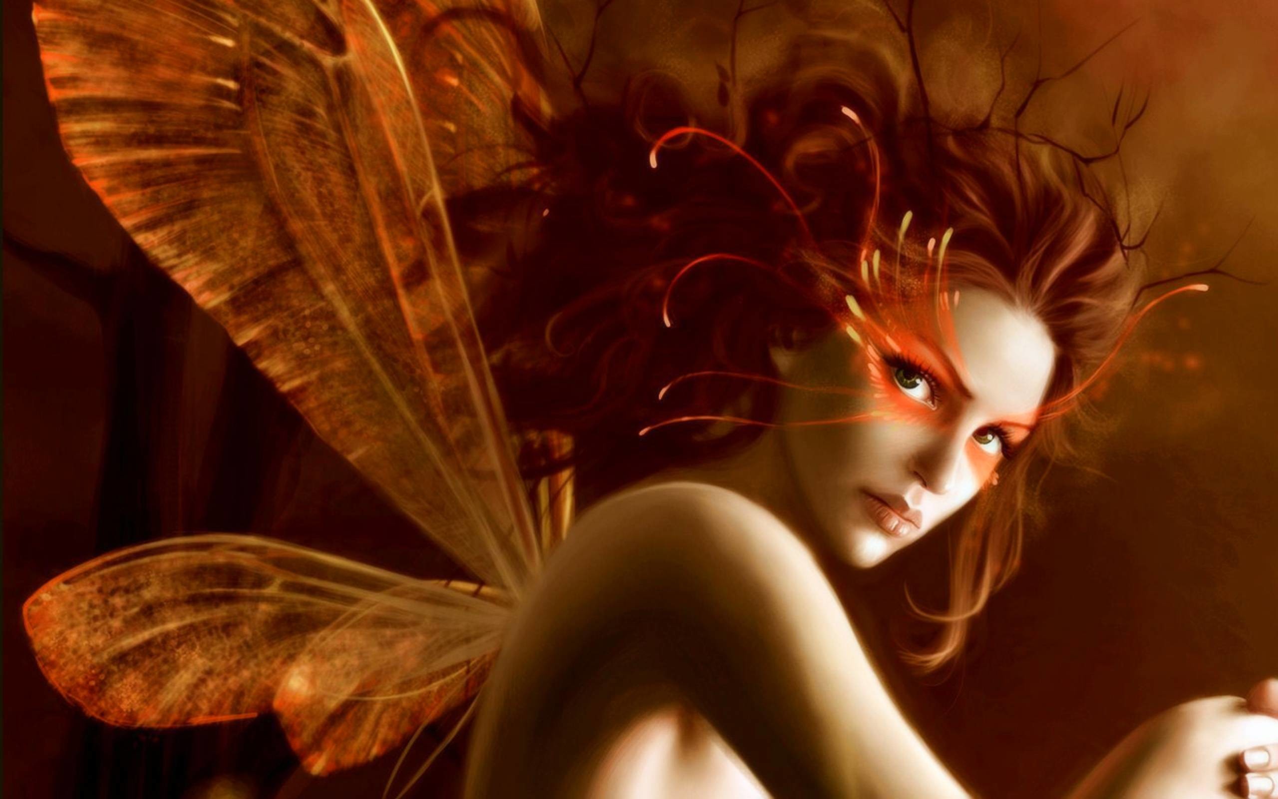 2560x1600 359 Fairy Wallpapers | Fairy Backgrounds Page 4