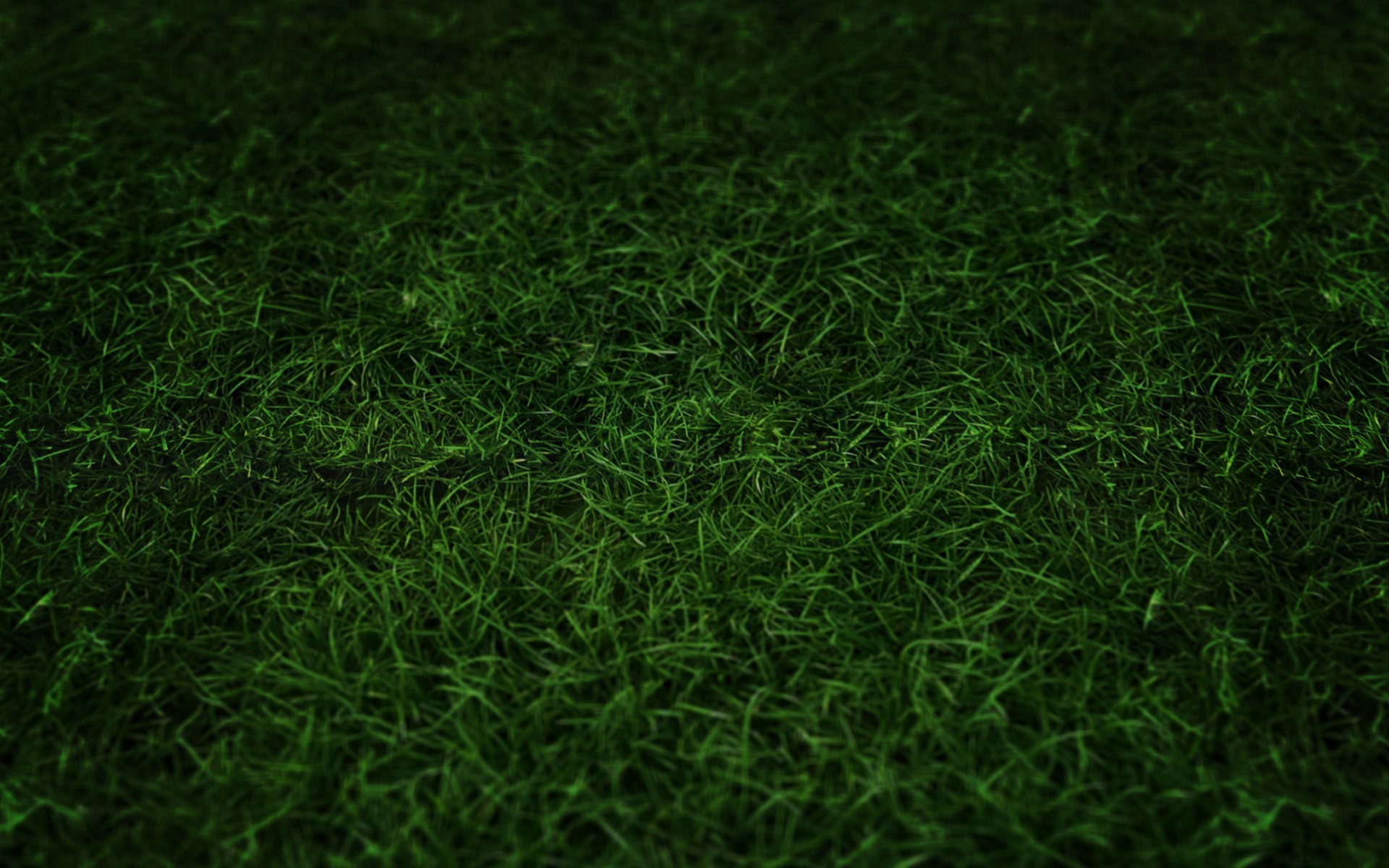 1920x1200 Football Field Grass Wallpaper Green grass 1280x800 wallpaper