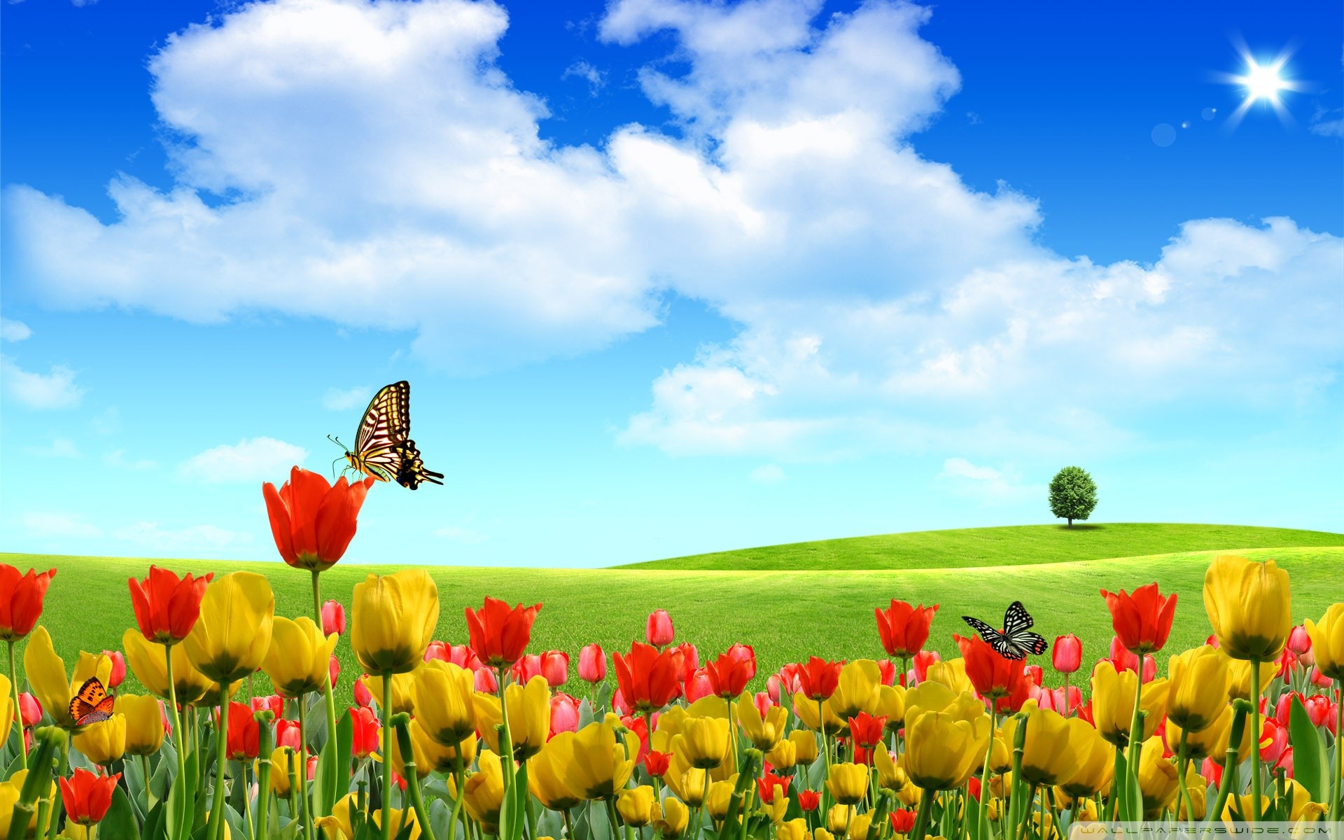 1920x1200 Hd Spring Wallpapers