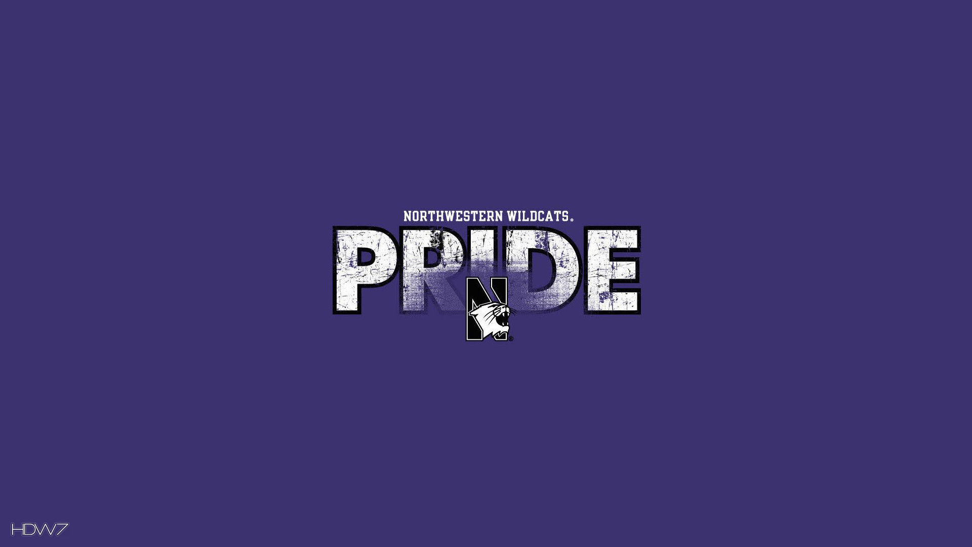1920x1080 northwestern wildcats pride