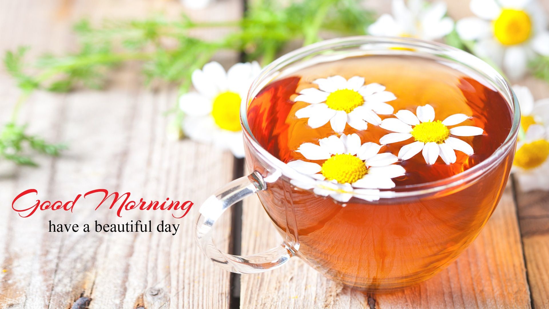 1920x1080 Simple and Beautiful Good Morning Wallpaper with flowers in Full HD size. # goodmorning #wallpaper #hd #gm #gmwallpaper #flower #cup #tea #beautiful  #day