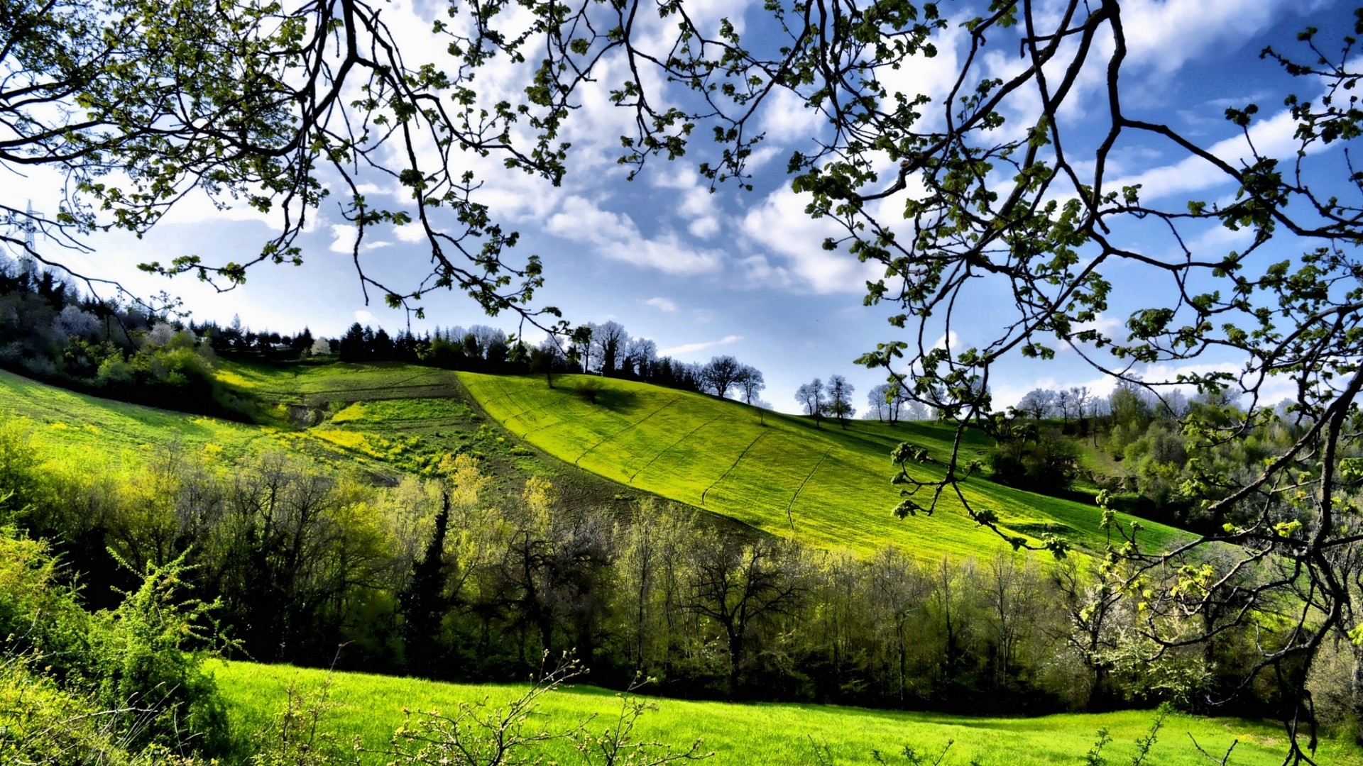 1920x1080 Preview wallpaper spring, fields, trees, greenery 