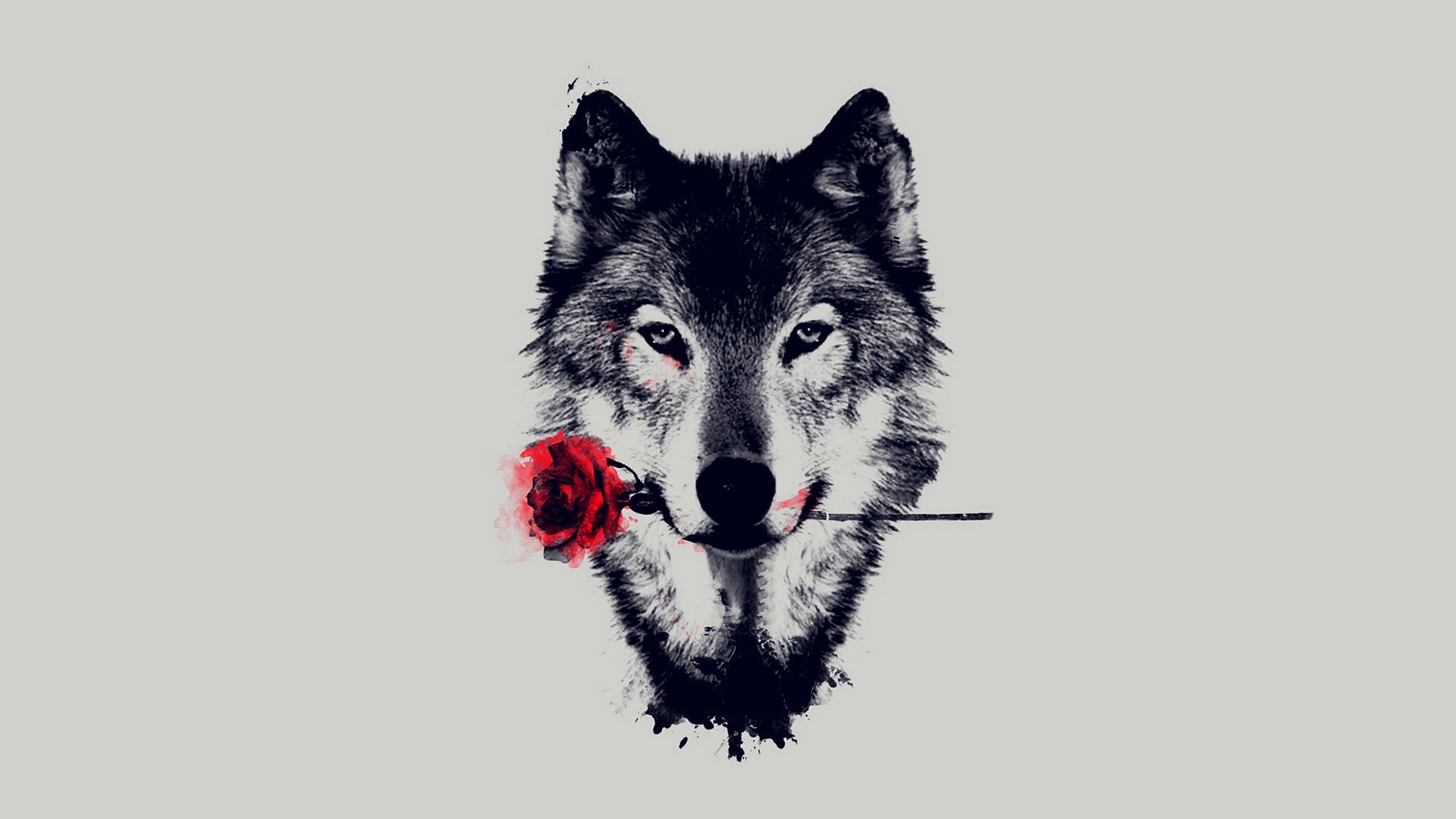 1920x1080 Animal - Wolf Artistic Red Rose Wallpaper