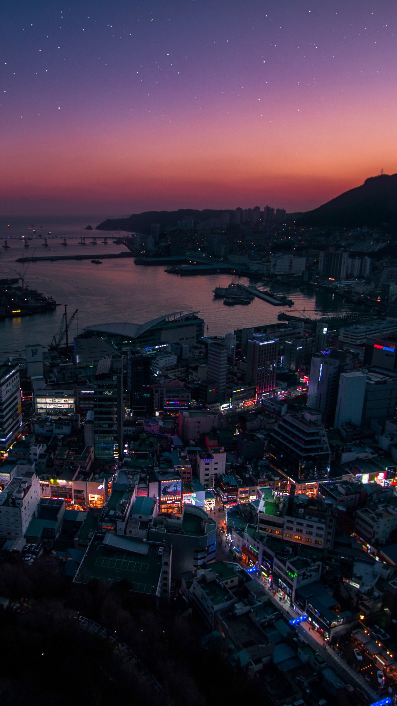 1350x2400  Wallpaper night city, aerial view, city lights, south korea