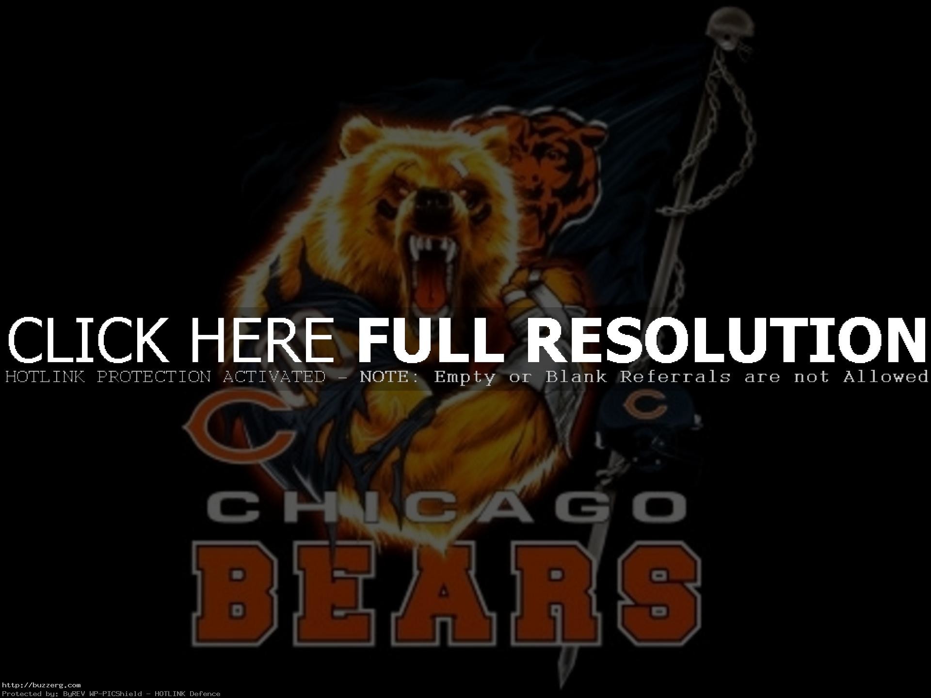 1920x1440 Chicago Bears Logo (id: 19141)