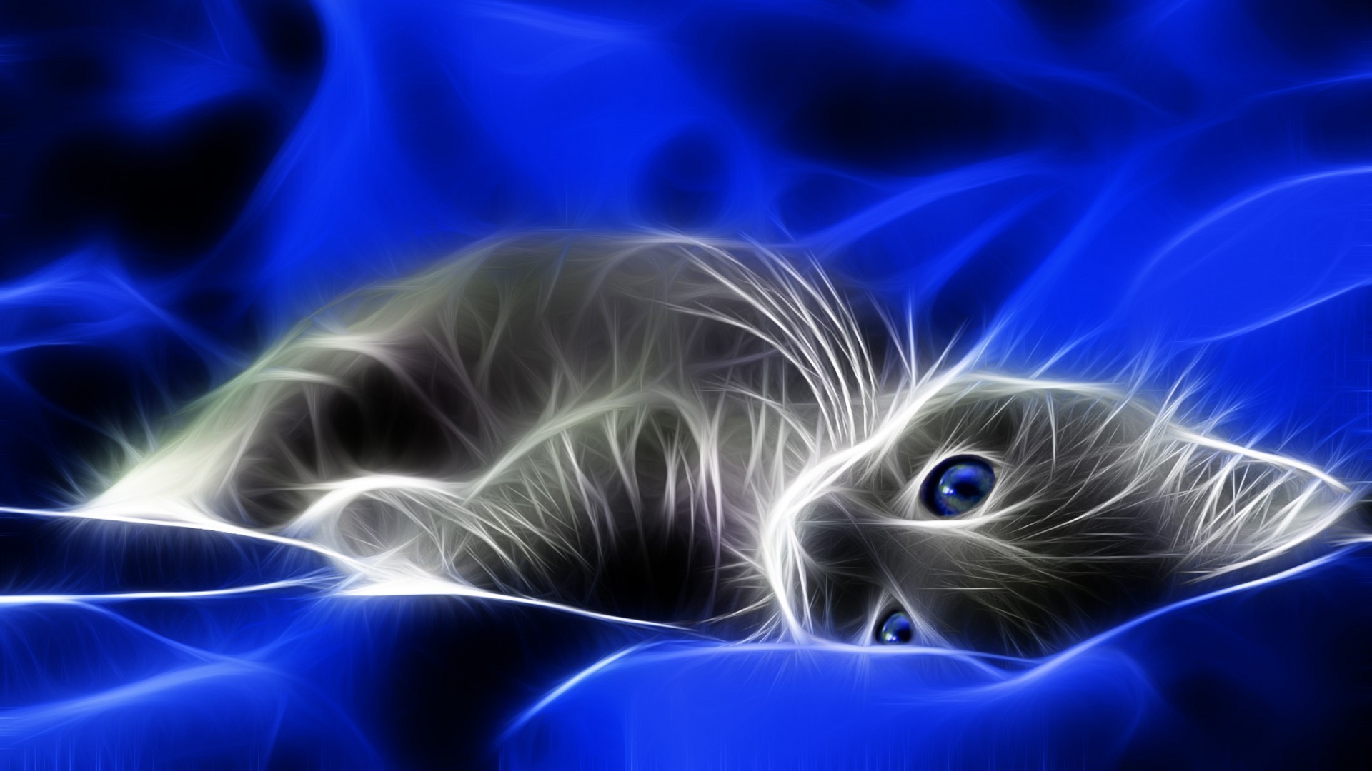 1920x1080 Blue cats digital art artwork kittens wallpaper