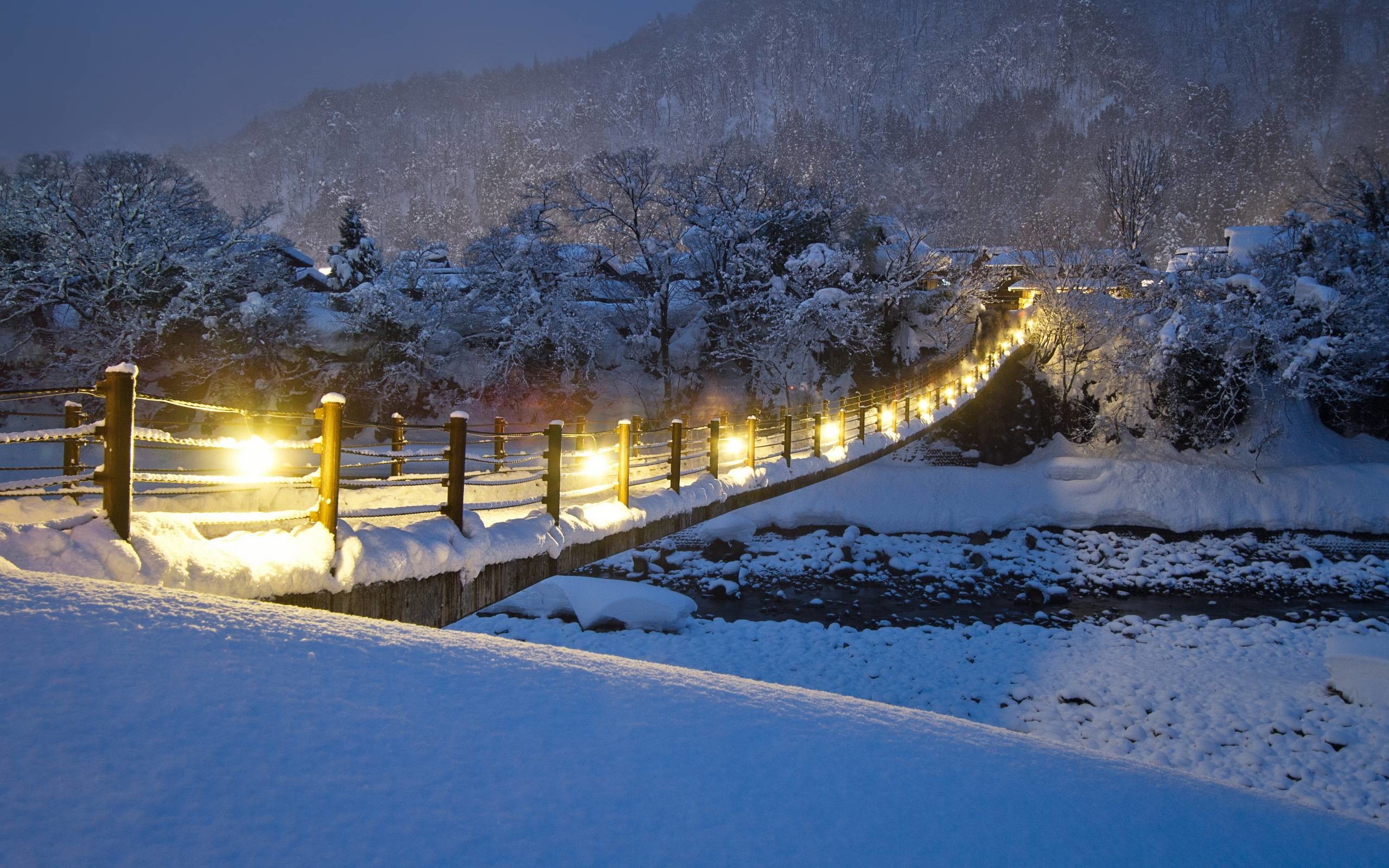 2560x1600 Winter night snow wallpaper