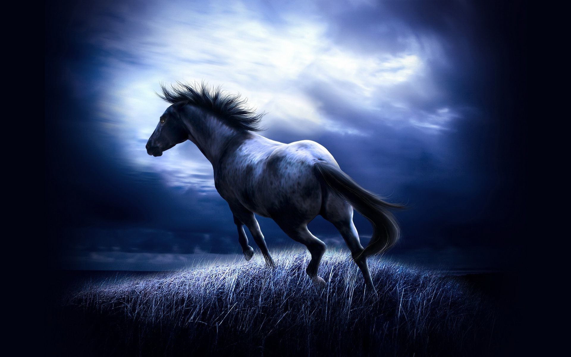 1920x1200 24 More horse wallpapers!Horses Wallpaper15705283FanpopPage 5 1889 .