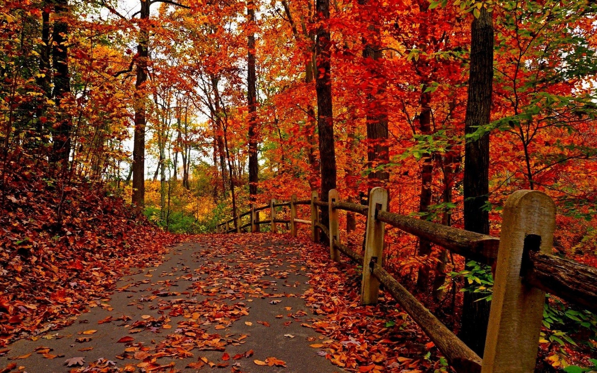 1920x1200 free screensaver wallpapers for fall