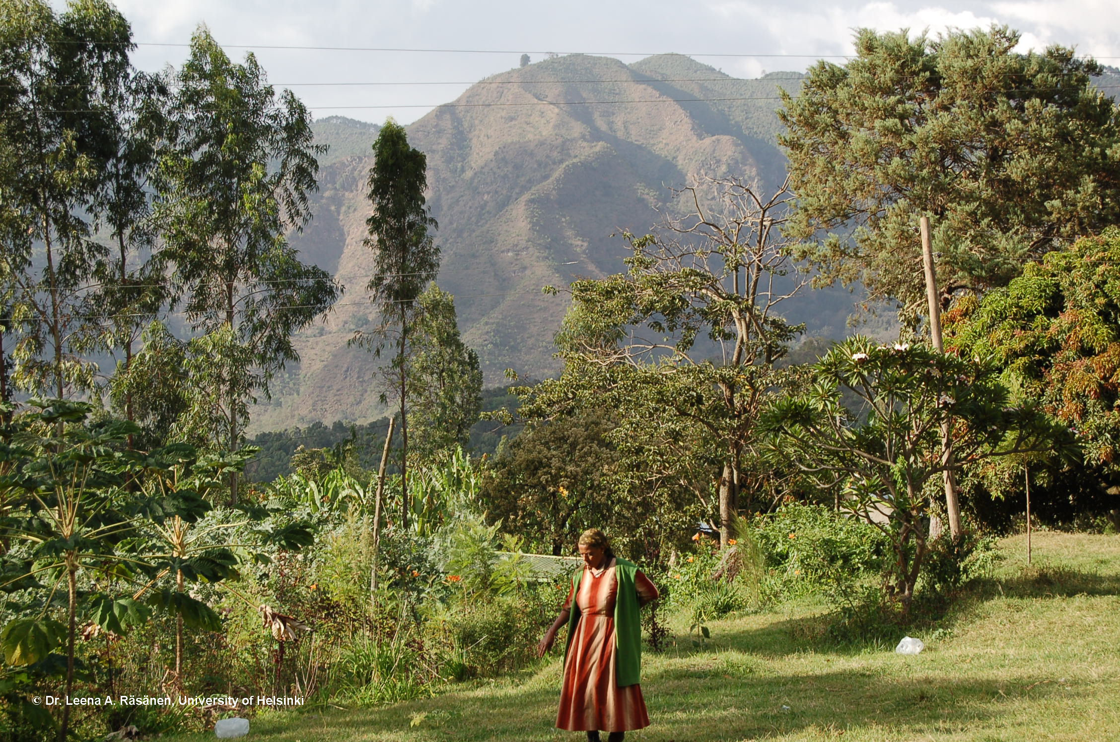 2256x1496 Women in homegarden, Ethiopia