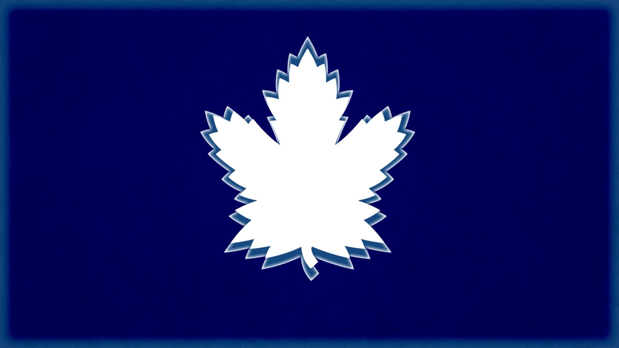 2560x1440 Toronto Maple Leafs - 2016/2017 - The Birth Of An Era - YouTube