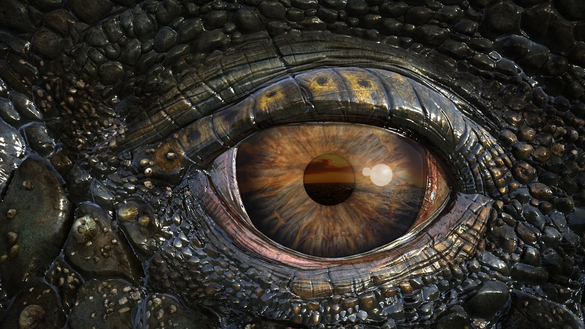 1920x1080 Filme - Sea Rex 3D: Journey To A Prehistoric World Tiere Wildlife Krokodil  Auge Close