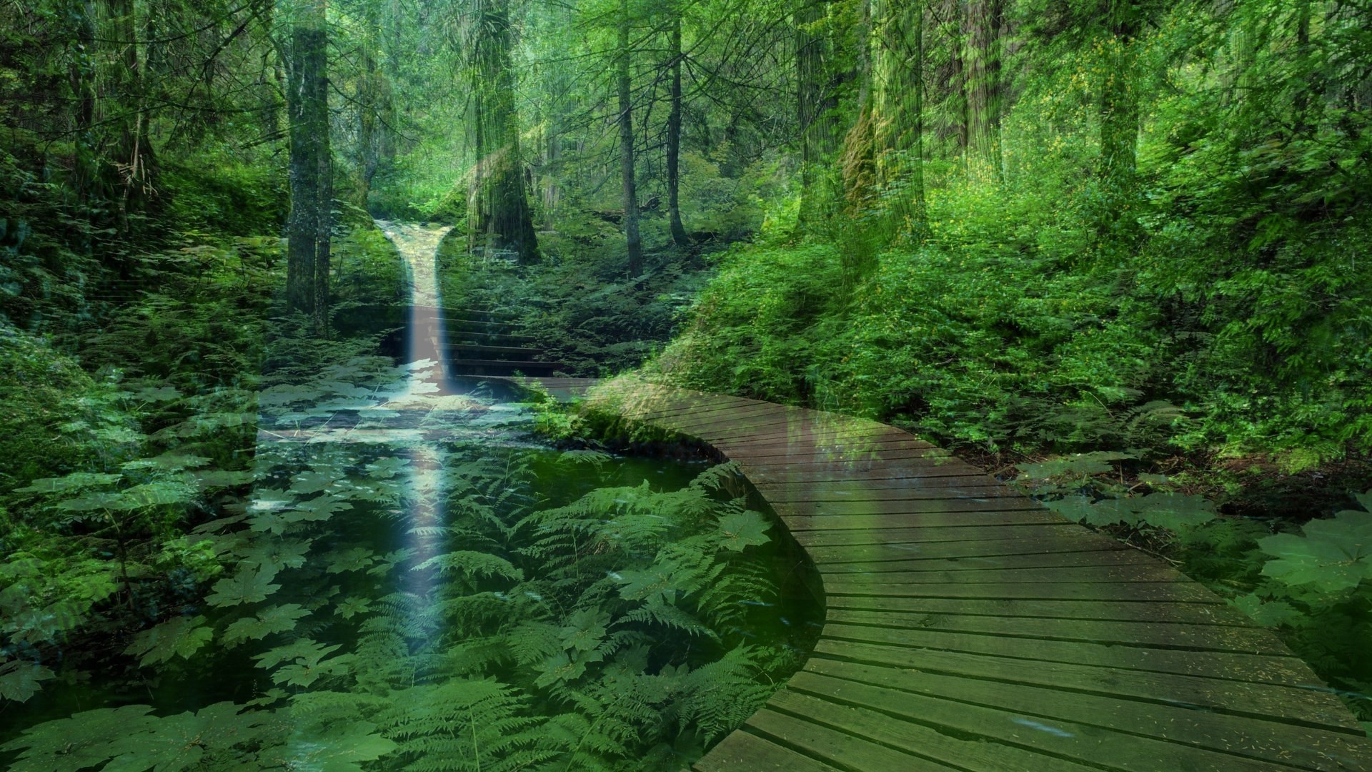 1920x1080 Forest landscape with a waterfall wallpapers and images - wallpapers .